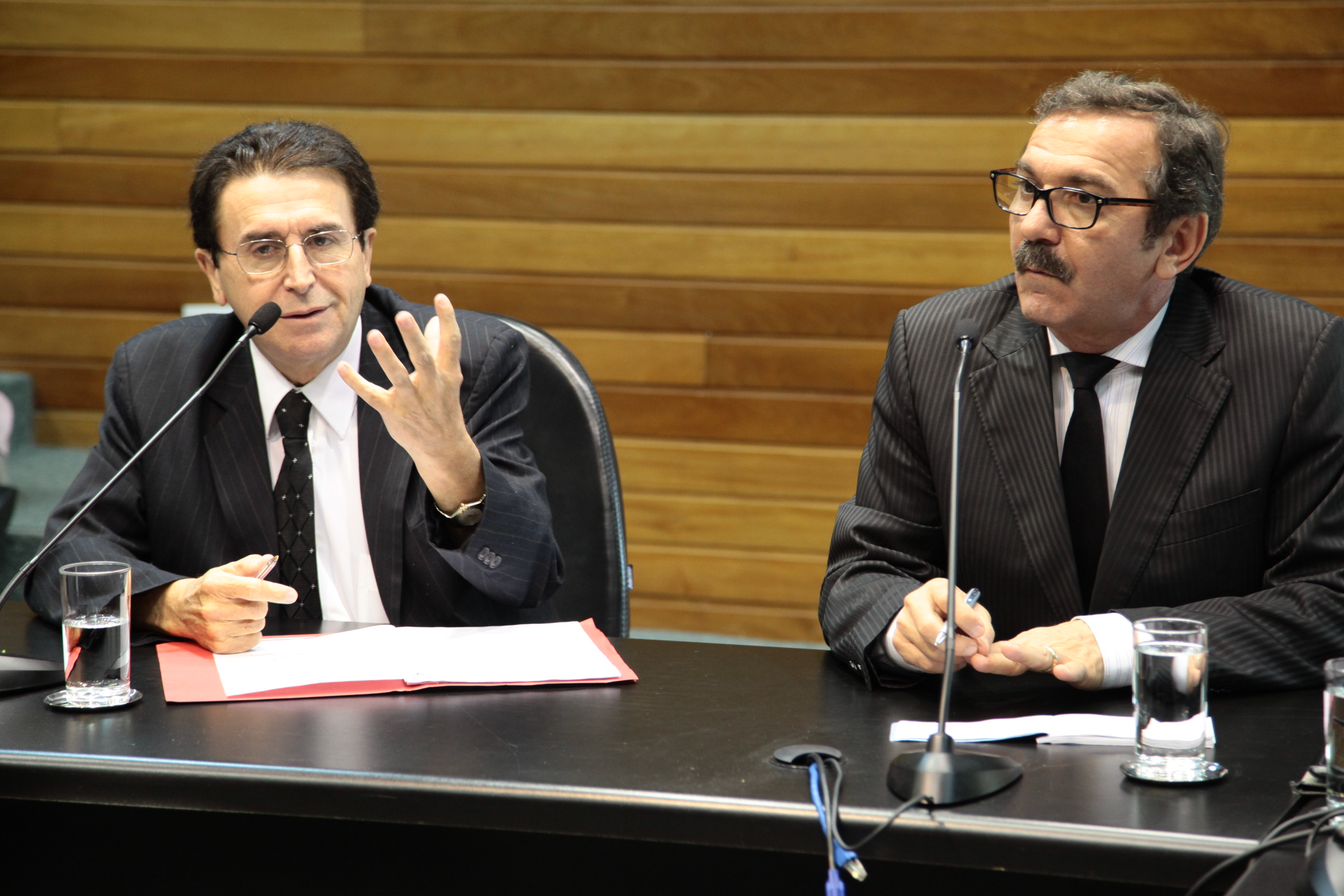 Reunião da Comissão de Defesa dos Direitos da Pessoa com Deficiência. Foto: Miriam Zomer/ Agência AL.
