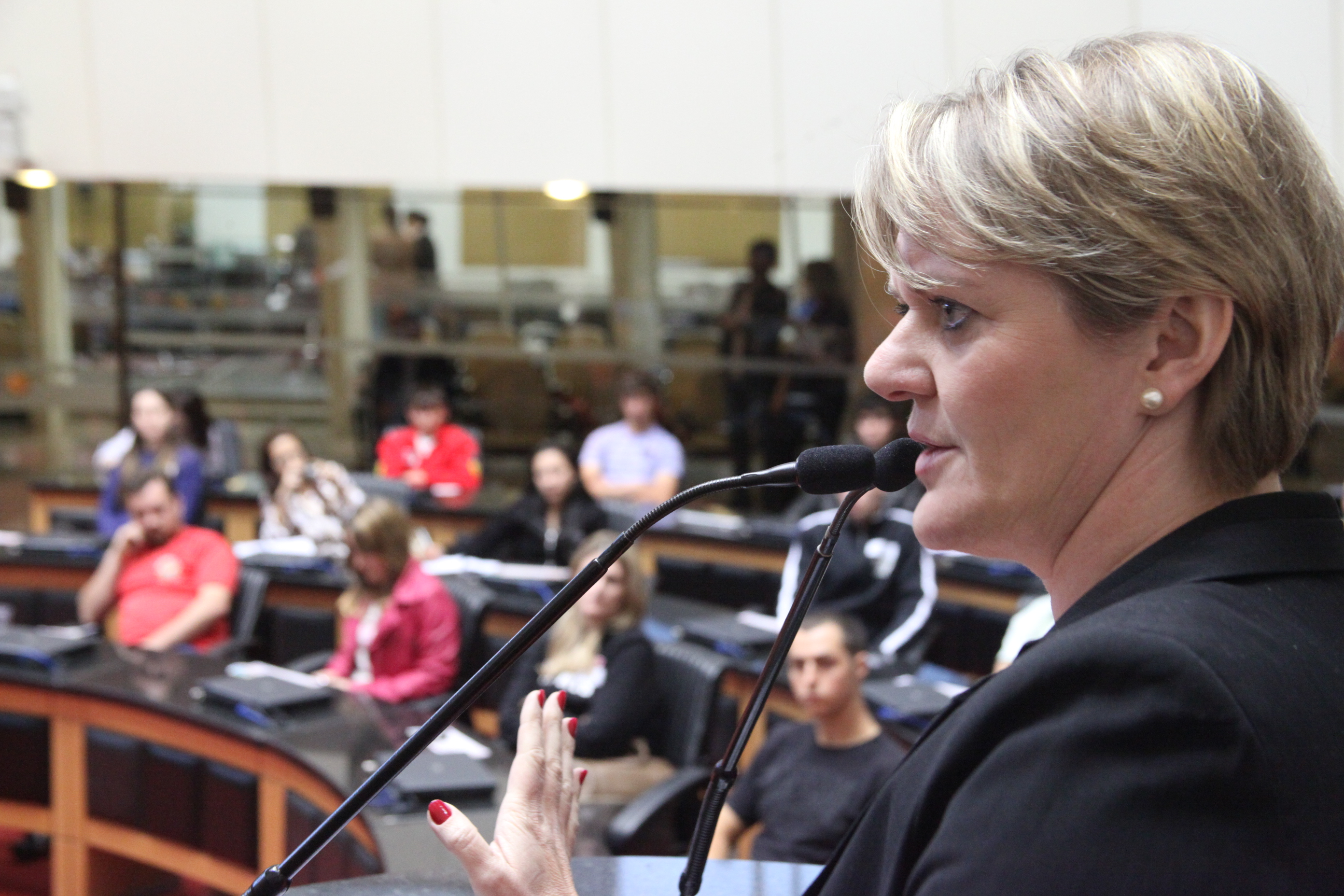 Comissão de Direitos Humanos promove audiência pública para debater o Estatuto Nacional da Juventude. Foto: Fábio Queiroz/Agência AL
