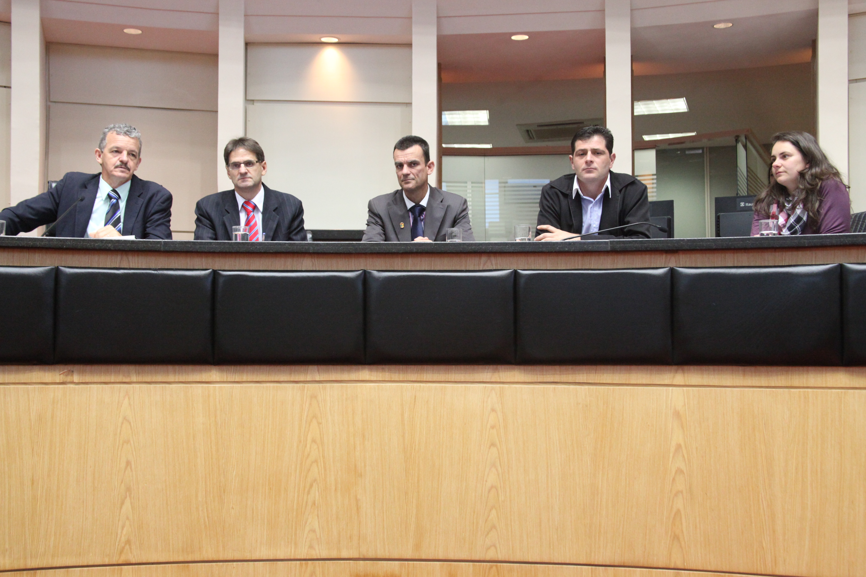 Comissão de Direitos Humanos promove audiência pública para debater o Estatuto Nacional da Juventude. Foto: Fábio Queiroz/Agência AL