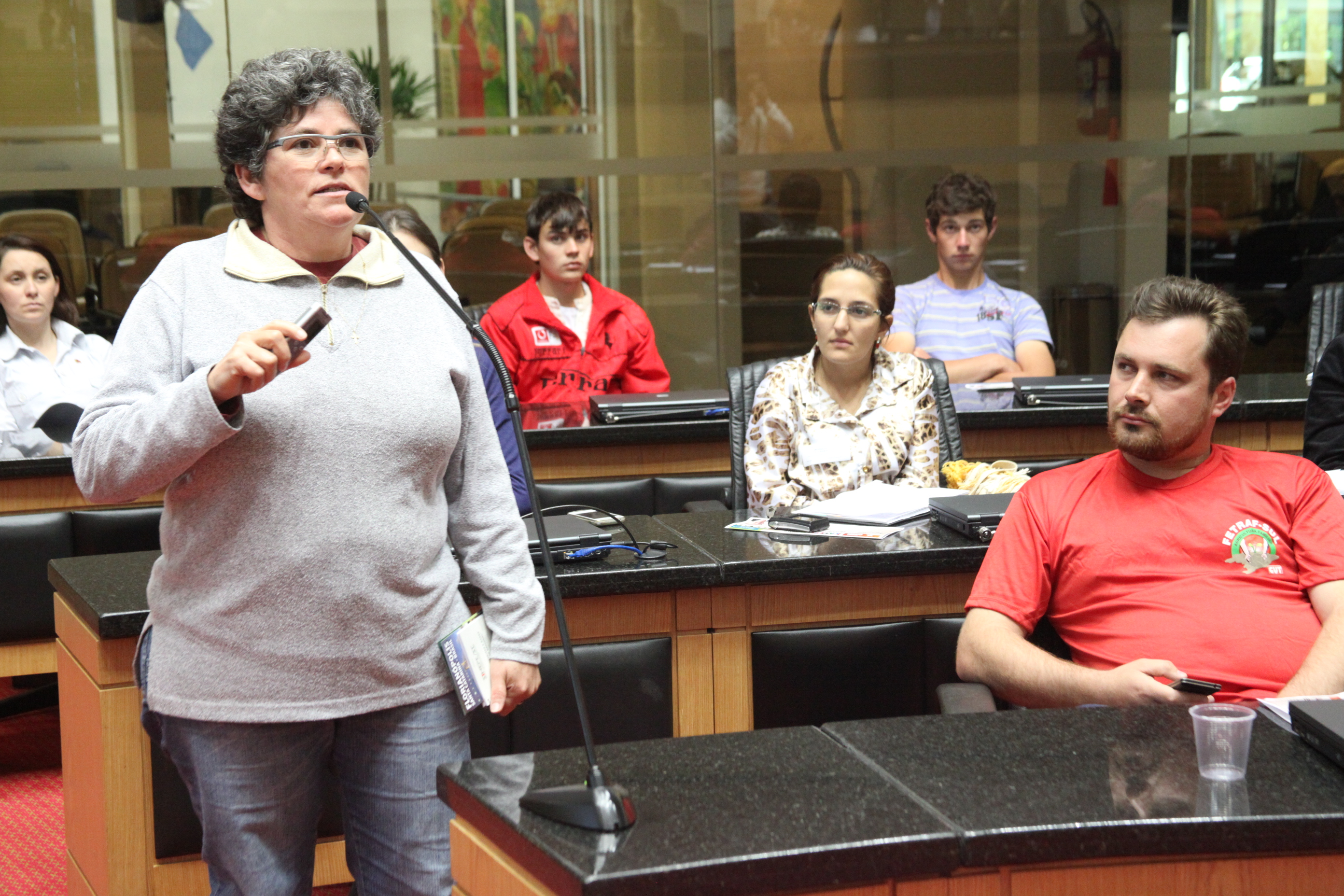 Comissão de Direitos Humanos promove audiência pública para debater o Estatuto Nacional da Juventude. Foto: Fábio Queiroz/Agência AL