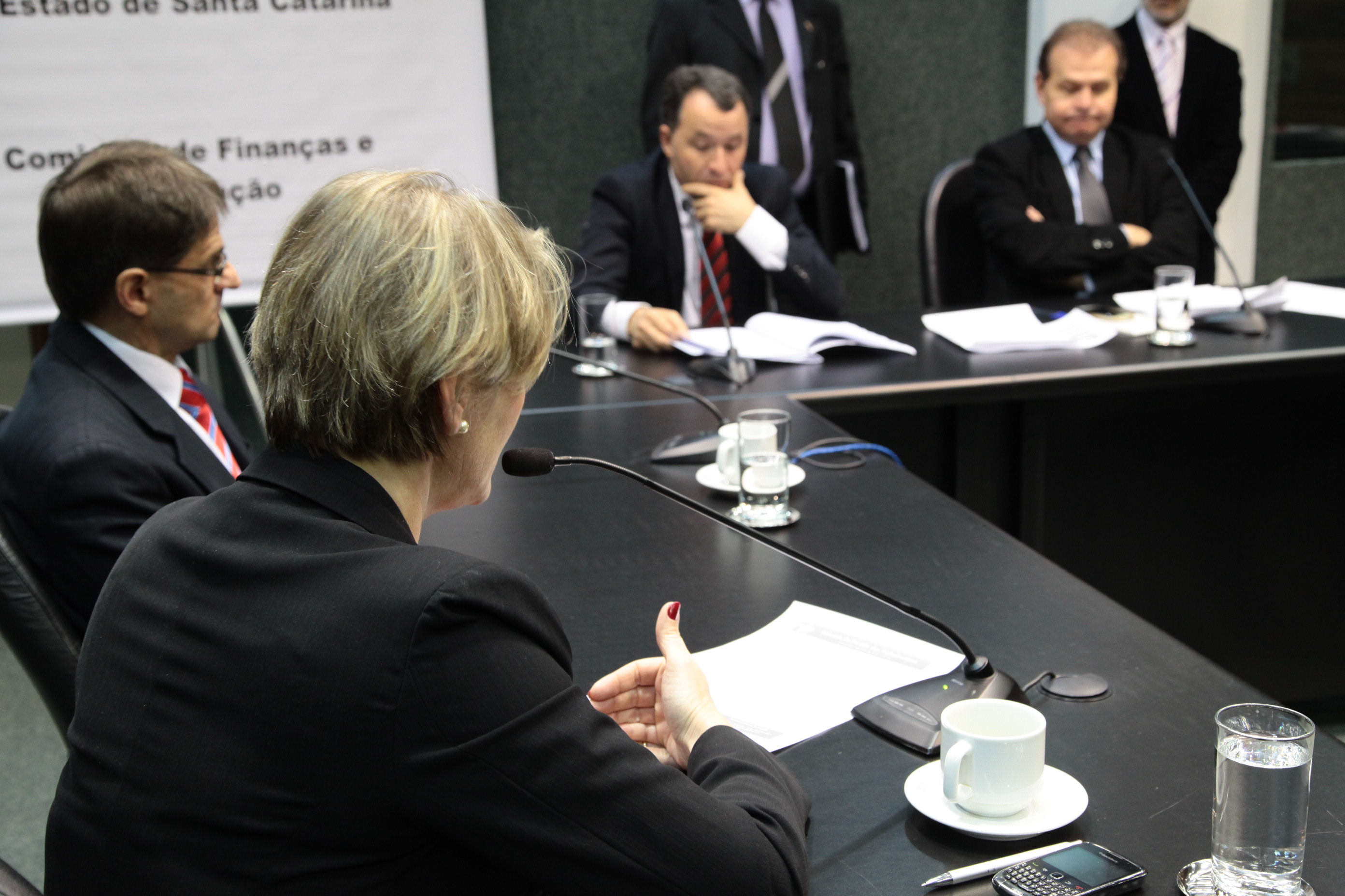 Reunião da Comissão de Finanças e Tributação. Foto: Miriam Zomer/ Agência AL