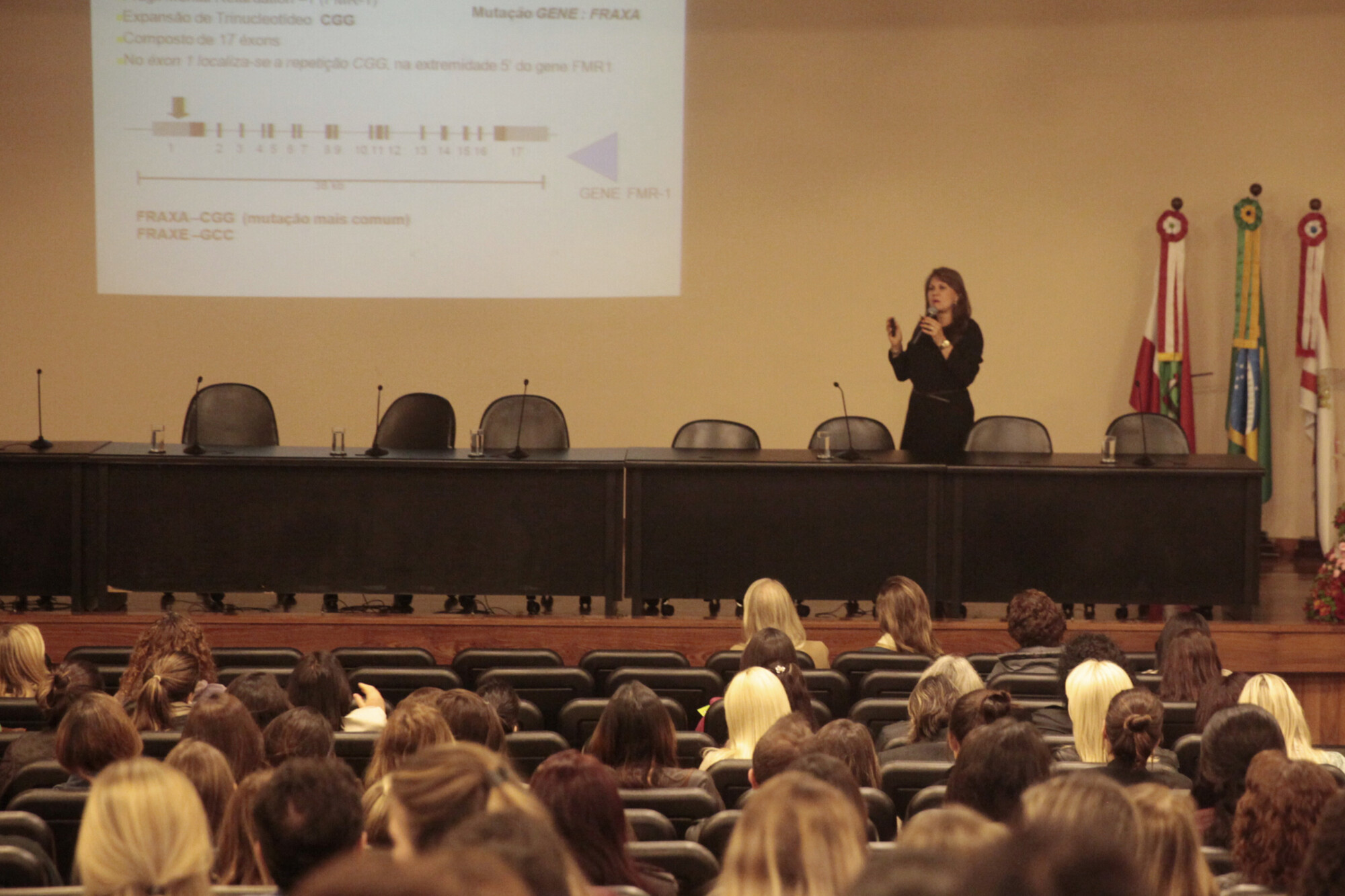 Assembleia sedia VII Encontro Catarinense da Síndrome do X-Frágil