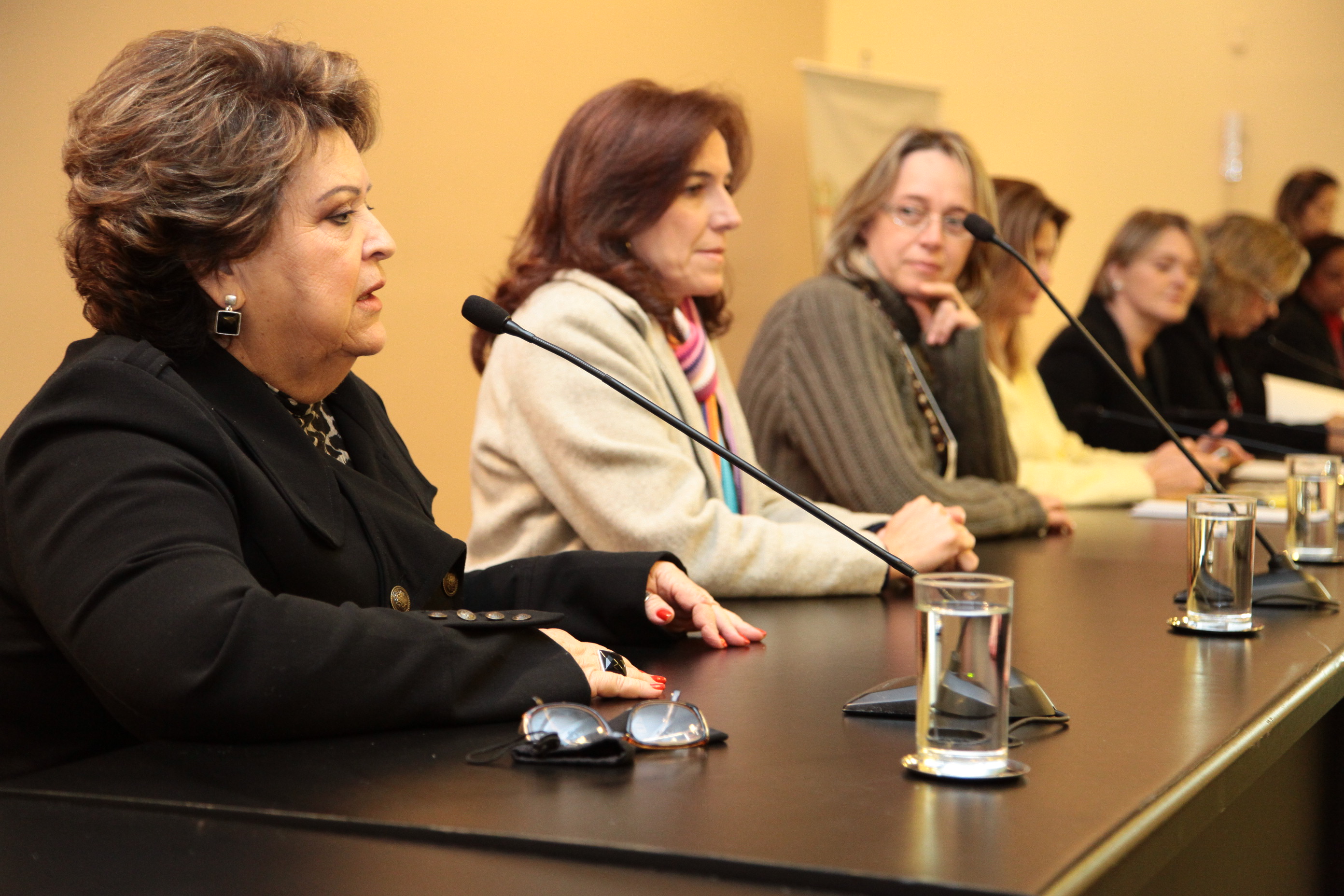 Seminário sobre Violência contra a Mulher, promovido pela Bancada Feminina da Alesc. Foto: Miriam Zomer/ Agência AL