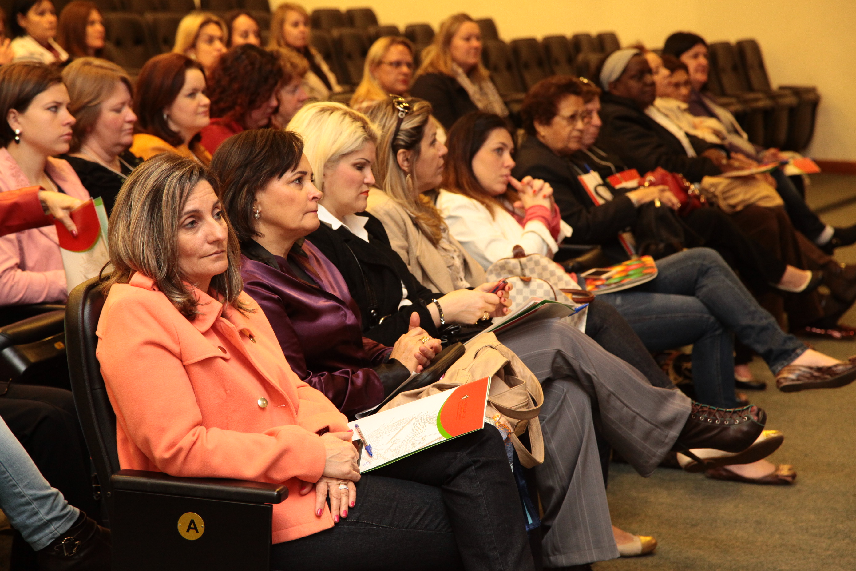 Seminário sobre Violência contra a Mulher, promovido pela Bancada Feminina da Alesc. Foto: Miriam Zomer/ Agência AL