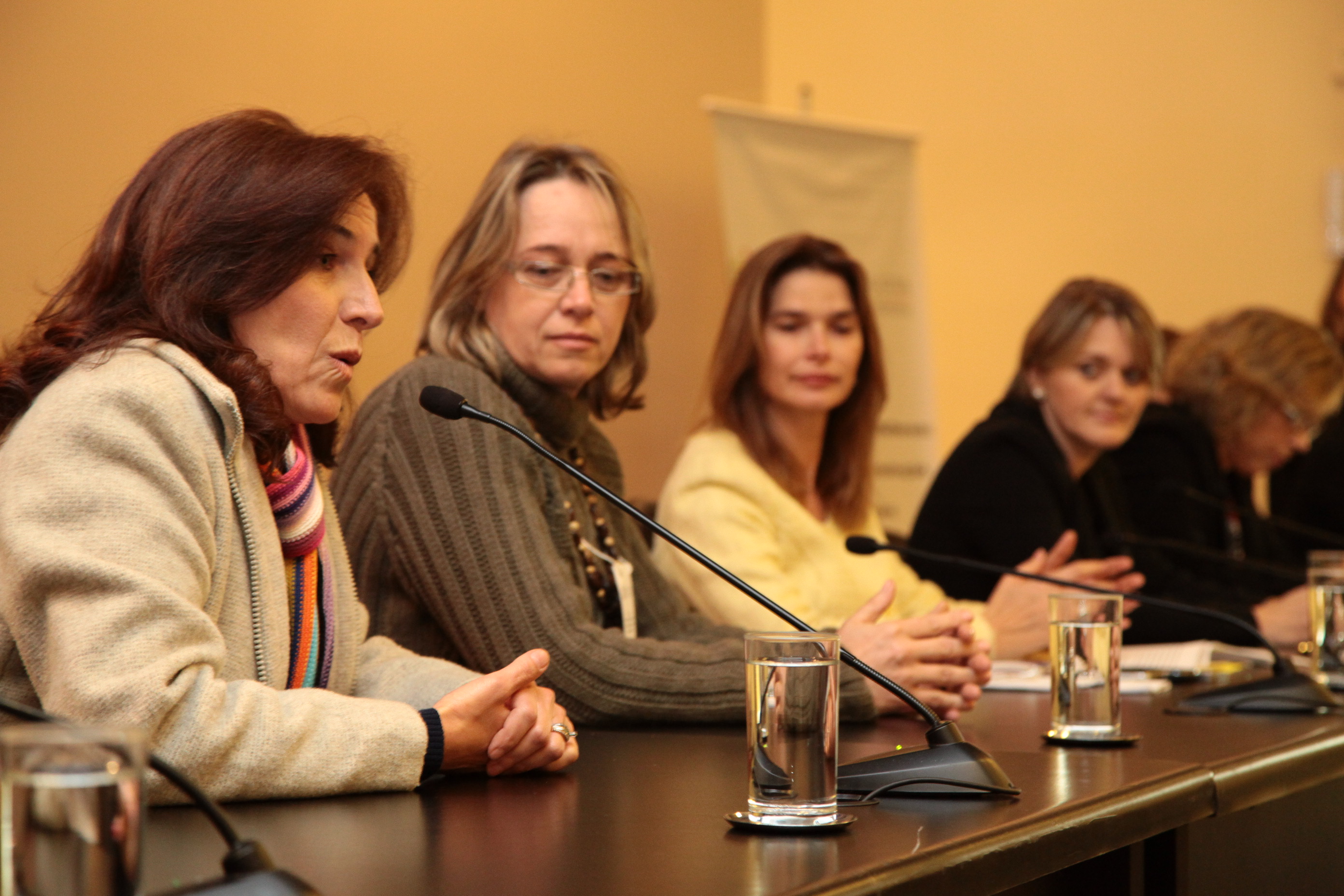 Seminário sobre Violência contra a Mulher, promovido pela Bancada Feminina da Alesc. Foto: Miriam Zomer/ Agência AL
