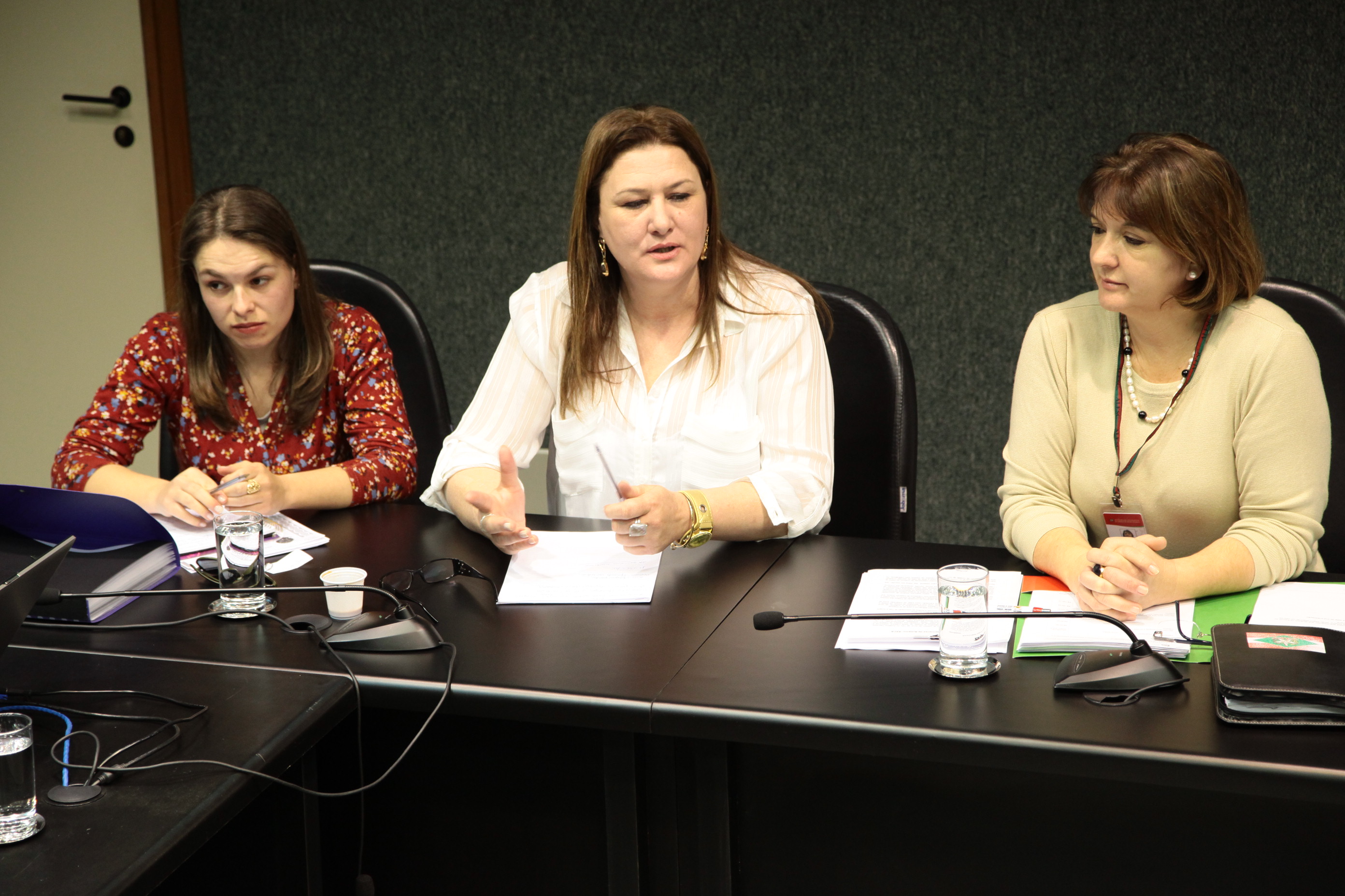 Reunião do Estatuto da Federação das AMAS de Santa Catarina. Foto: Miriam Zomer/Agência AL
