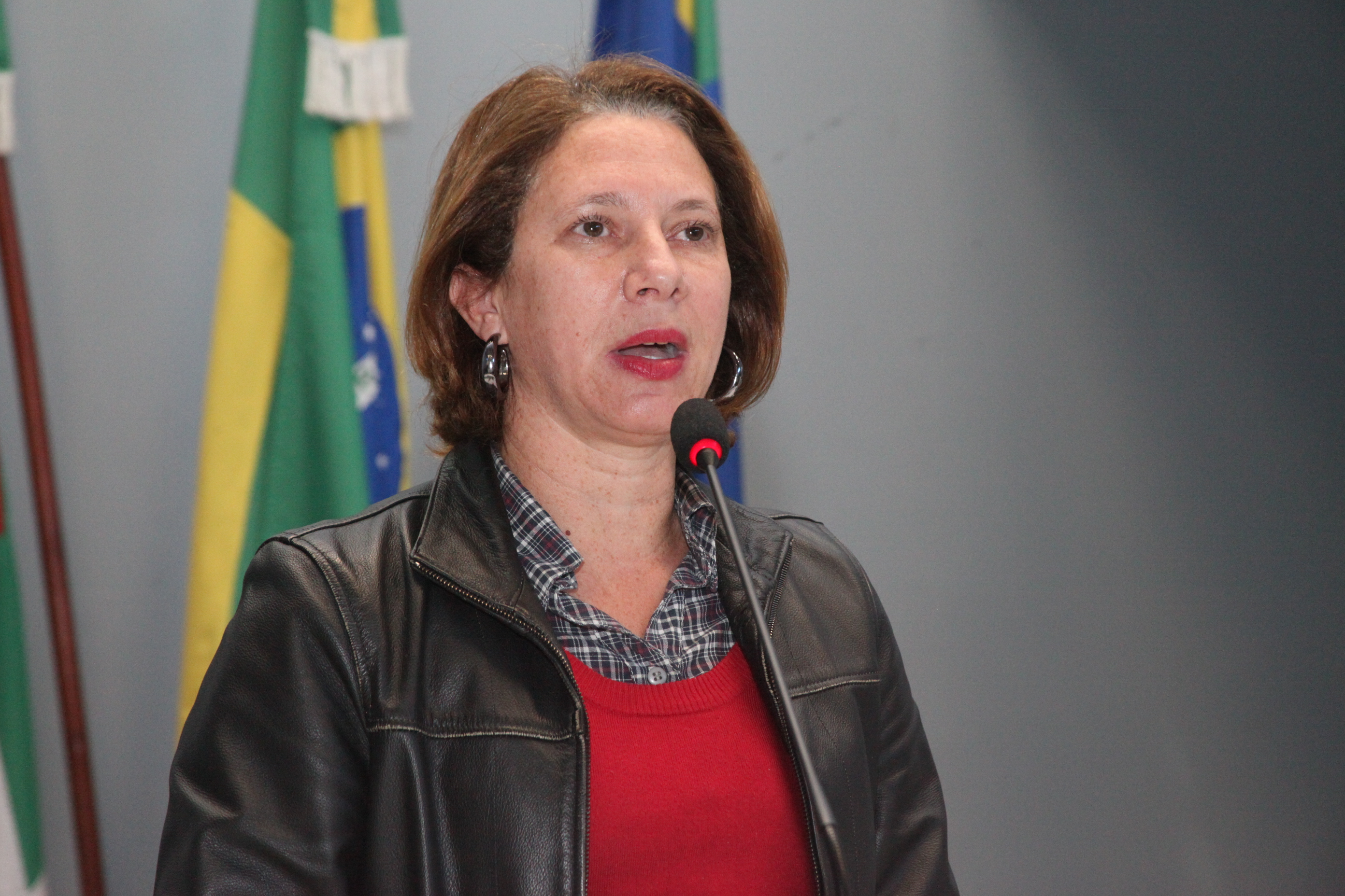 Audiência Pública a fim de discutir o tema: Adolescentes em conflito com a lei e medidas socioeducativas. Como a FIA (Fundo da Infância e Adolescência) pode ajudar a solucionar o problema. Foto: Fábio Queiroz/Agência AL