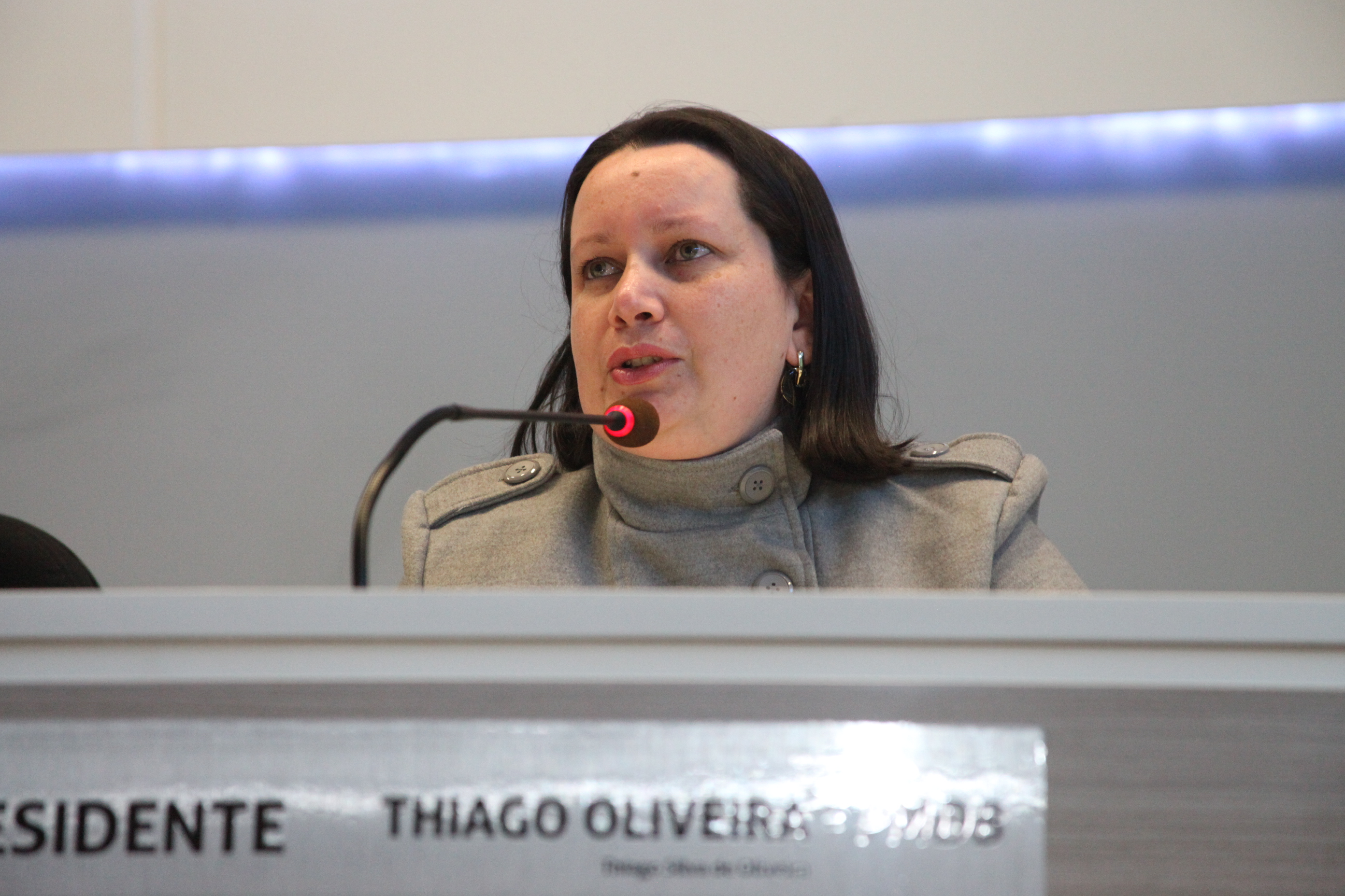 Audiência Pública a fim de discutir o tema: Adolescentes em conflito com a lei e medidas socioeducativas. Como a FIA (Fundo da Infância e Adolescência) pode ajudar a solucionar o problema. Foto: Fábio Queiroz/Agência AL