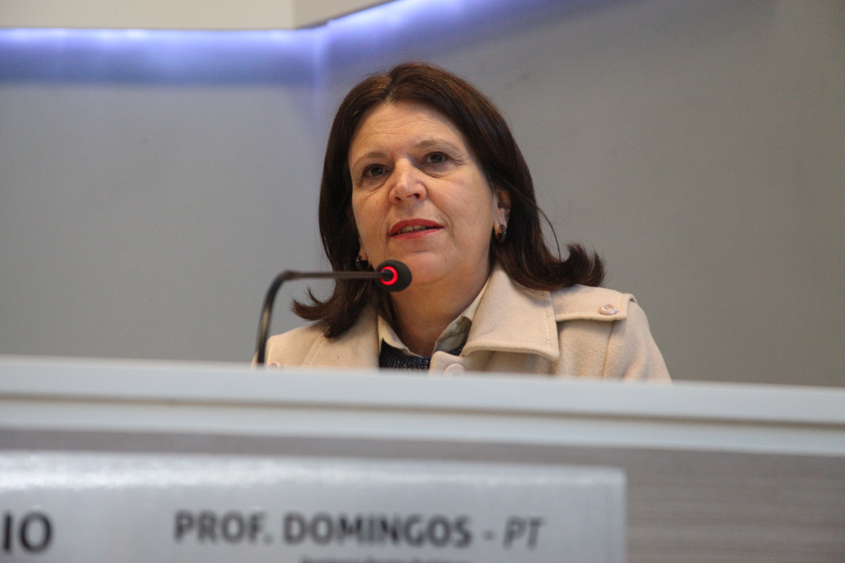 Audiência Pública a fim de discutir o tema: Adolescentes em conflito com a lei e medidas socioeducativas. Como a FIA (Fundo da Infância e Adolescência) pode ajudar a solucionar o problema. Foto: Fábio Queiroz/Agência AL