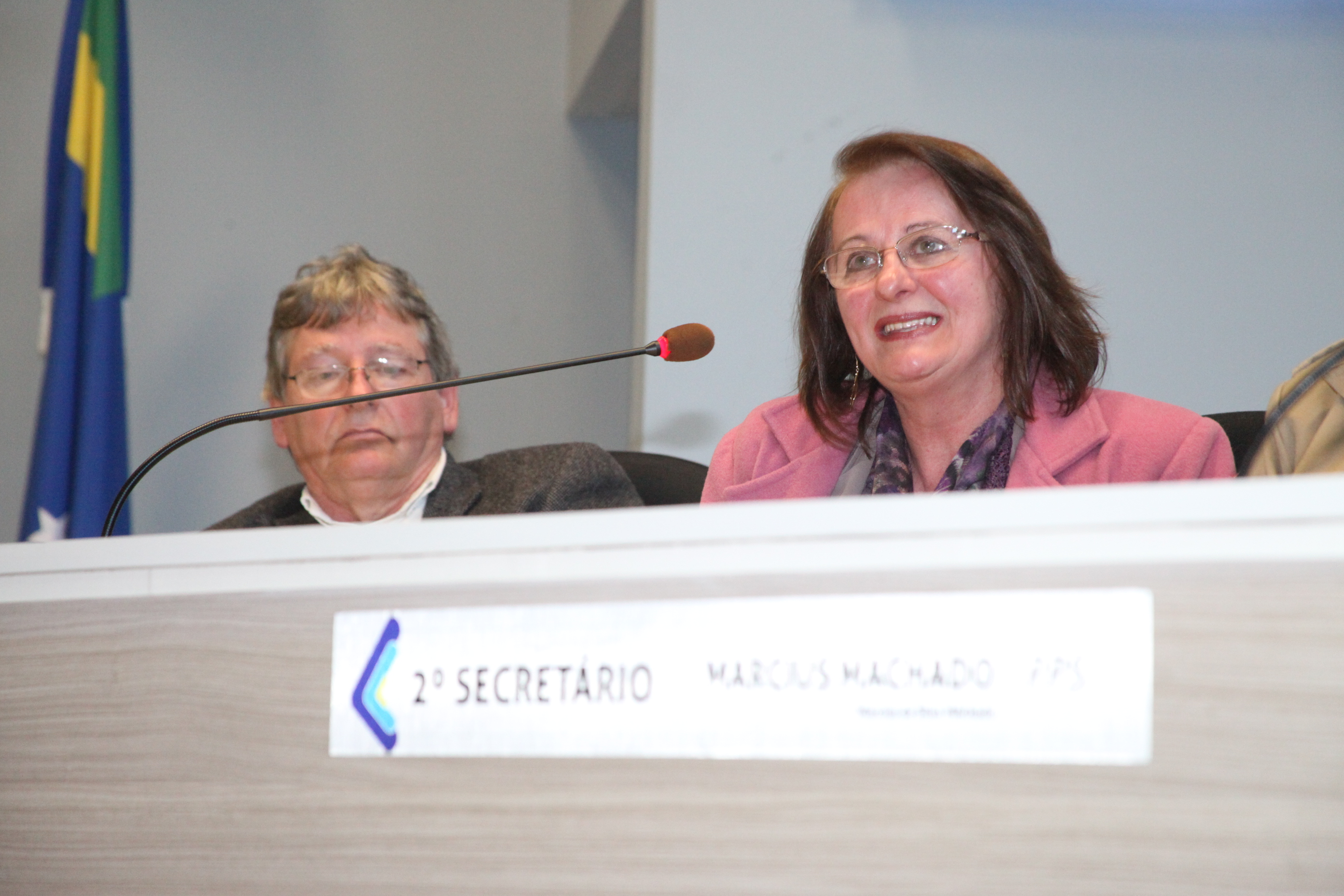 Audiência Pública a fim de discutir o tema: Adolescentes em conflito com a lei e medidas socioeducativas. Como a FIA (Fundo da Infância e Adolescência) pode ajudar a solucionar o problema. Foto: Fábio Queiroz/Agência AL