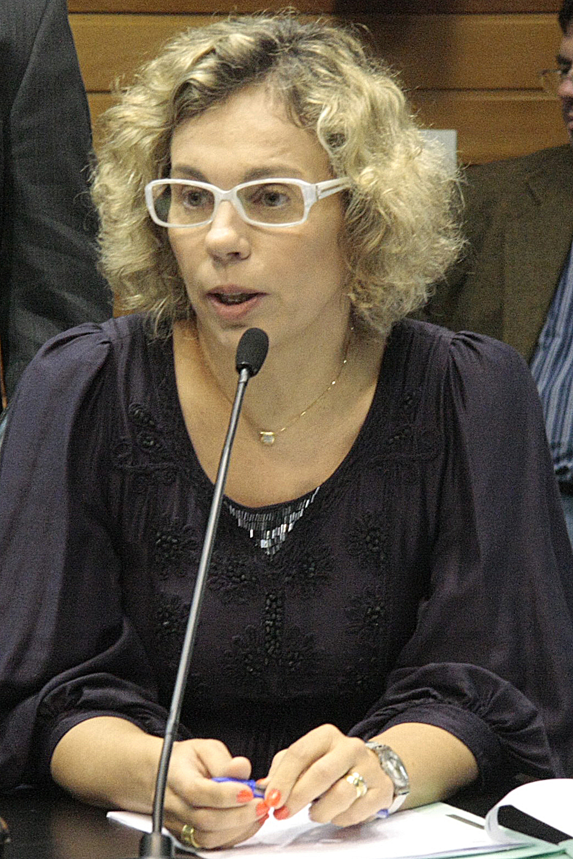 Reunião da Comissão de Constituição e Justiça. Foto: Leonardo Aguinaldo Gonçalves / Agência AL