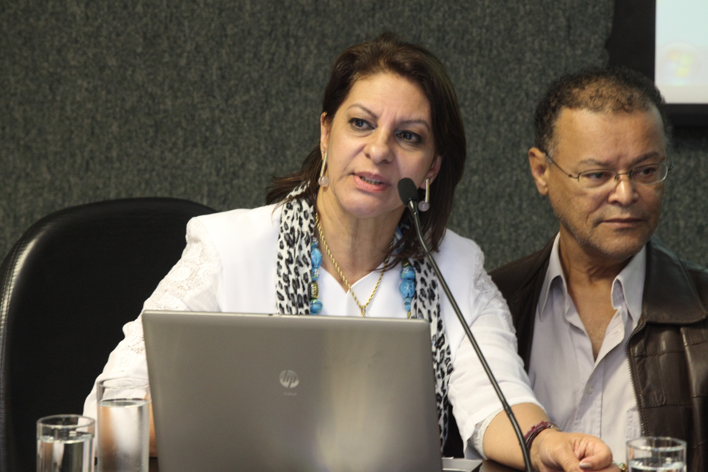 Audiência Pública - Direito a Diversidade Religiosa - Iara Silva