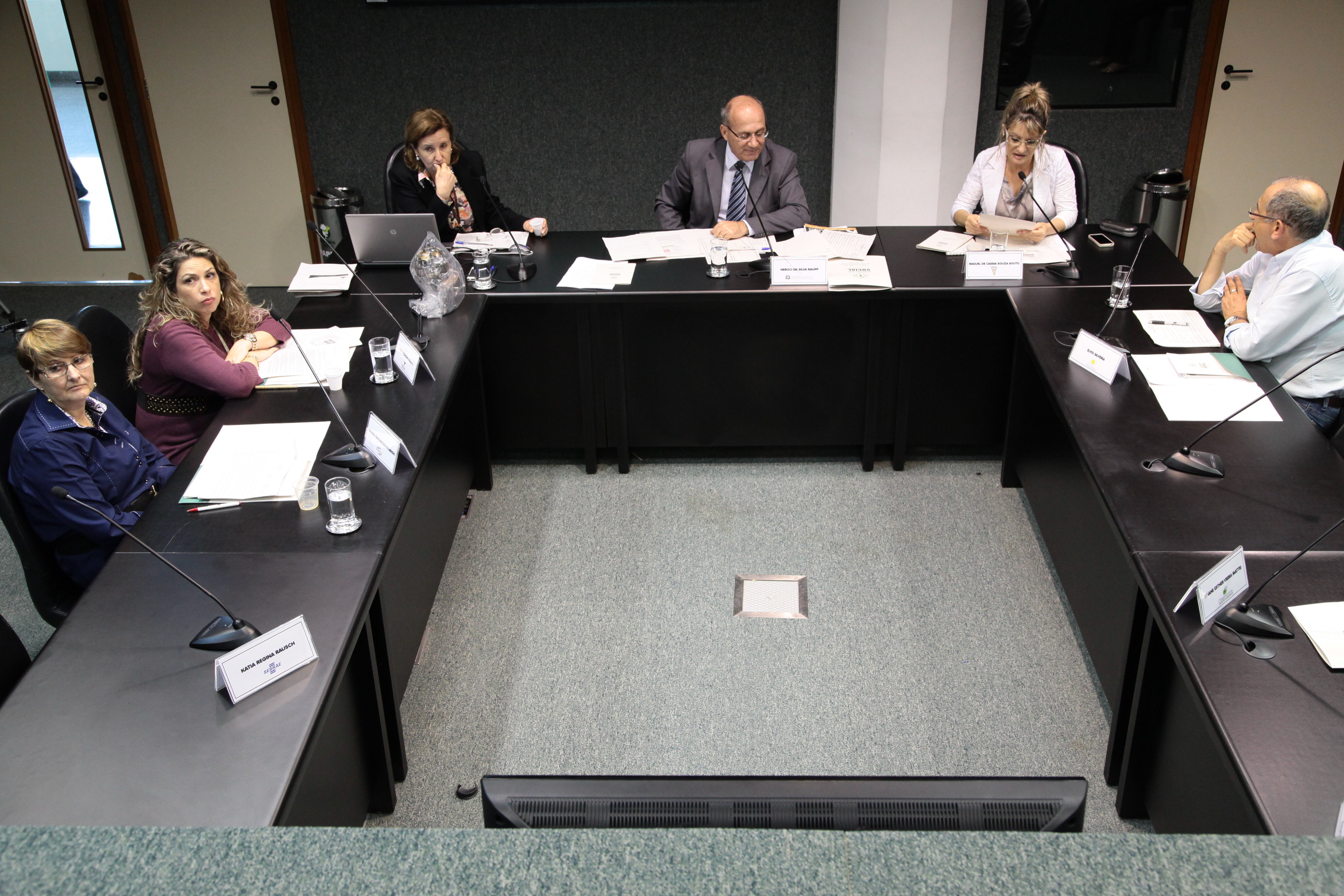 Reunião da Comissão Mista de Responsabilidade Social. Foto: Miriam Zomer/ Agência AL
