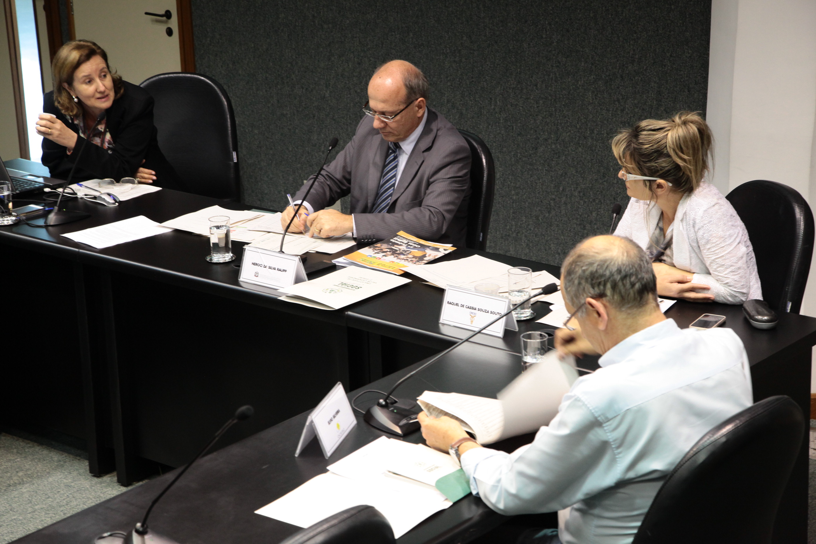 Reunião da Comissão Mista de Responsabilidade Social. Foto: Miriam Zomer/ Agência AL