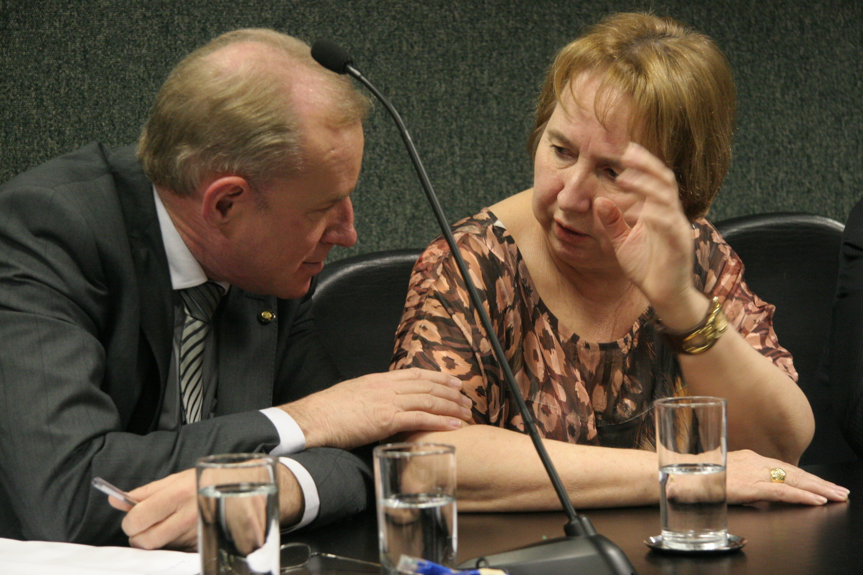 Comissões Conjuntas - Finanças e Saúde - Foto: Eduardo Guedes de Oliveira / Agência AL