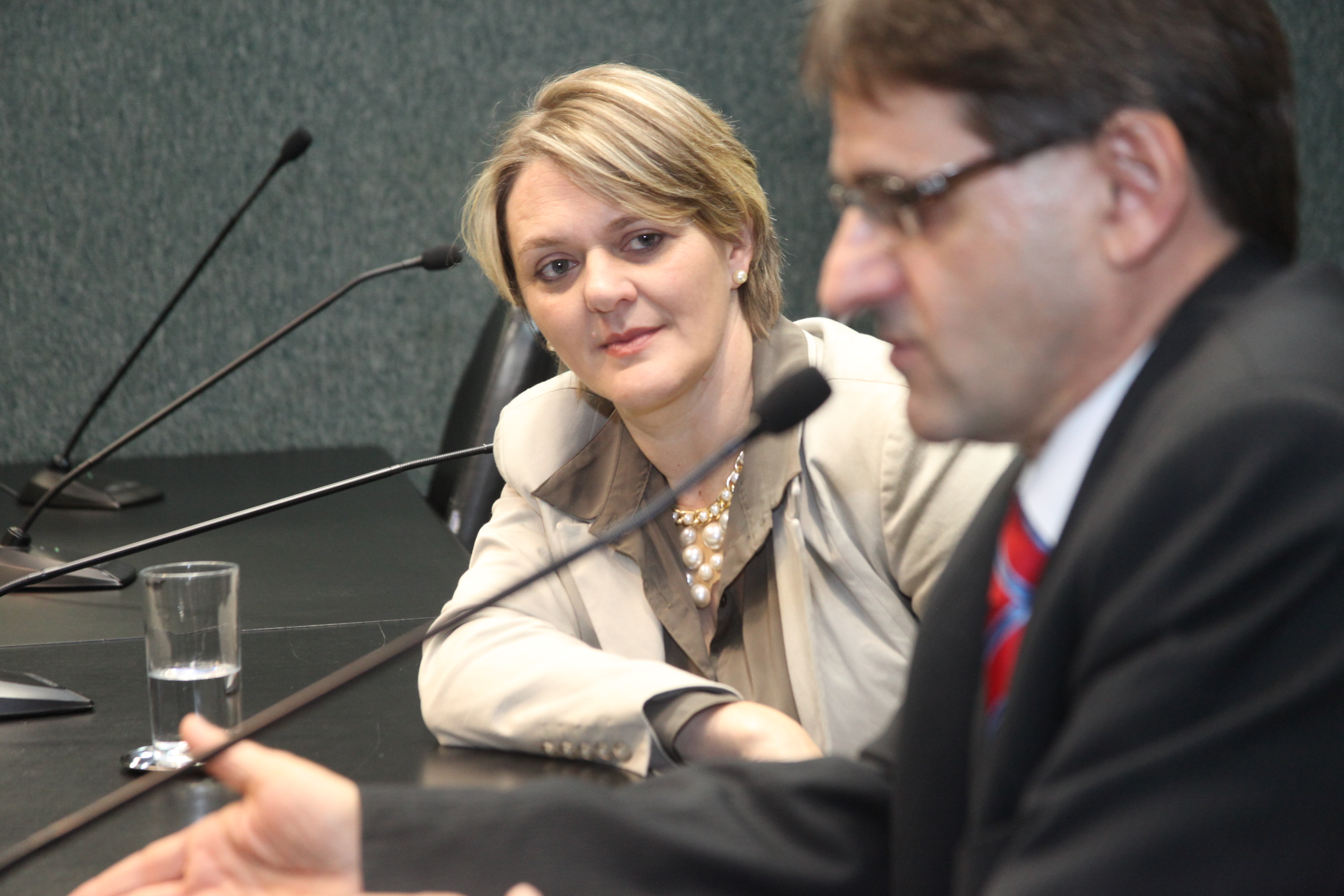 Reunião da Comissão de Finanças e Tributação. Foto: Leonardo Gonçalves / Agência AL