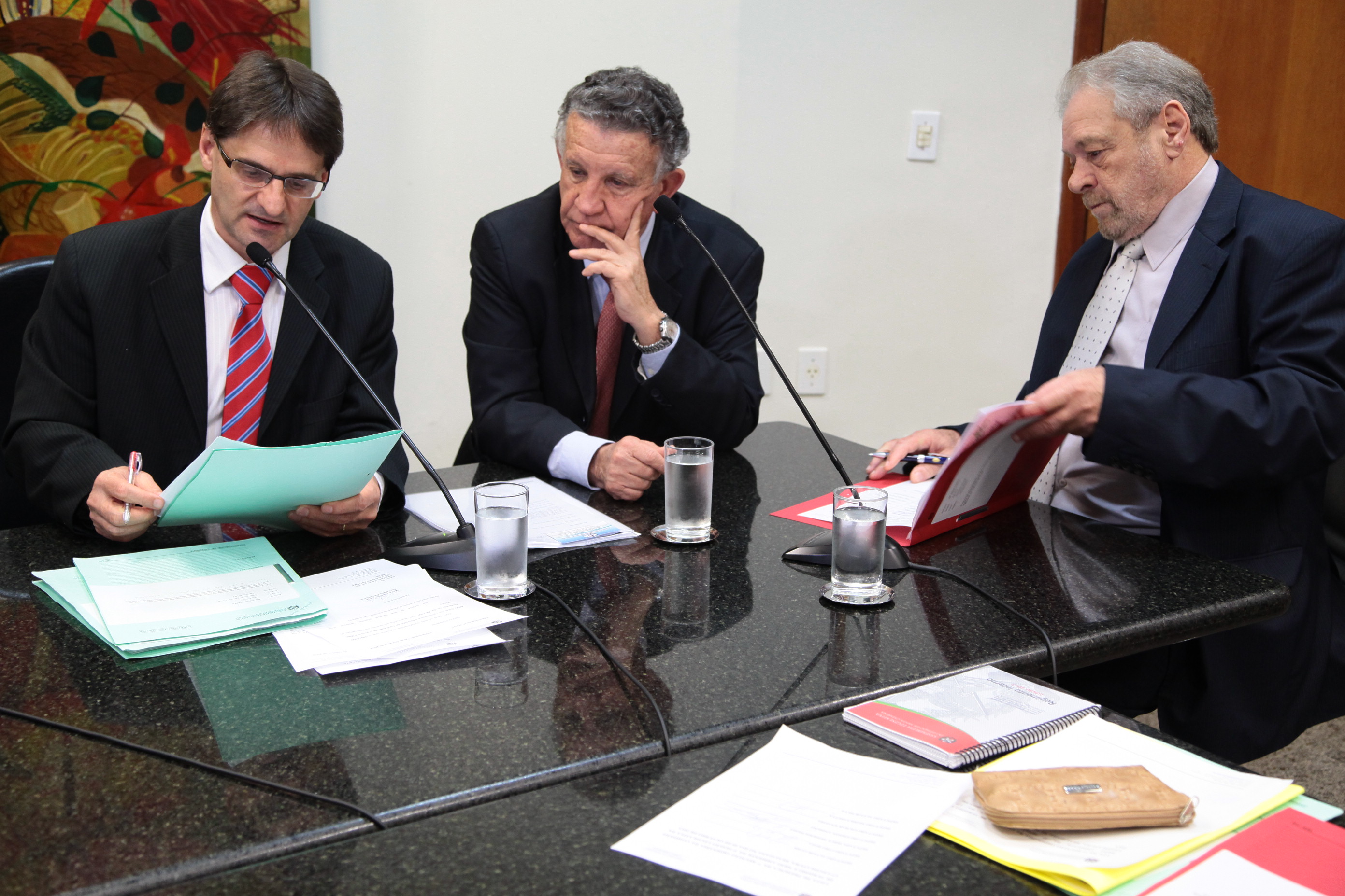 Reunião da Comissão de Turismo e Meio Ambiente. Foto: Miriam Zomer/Agência AL
