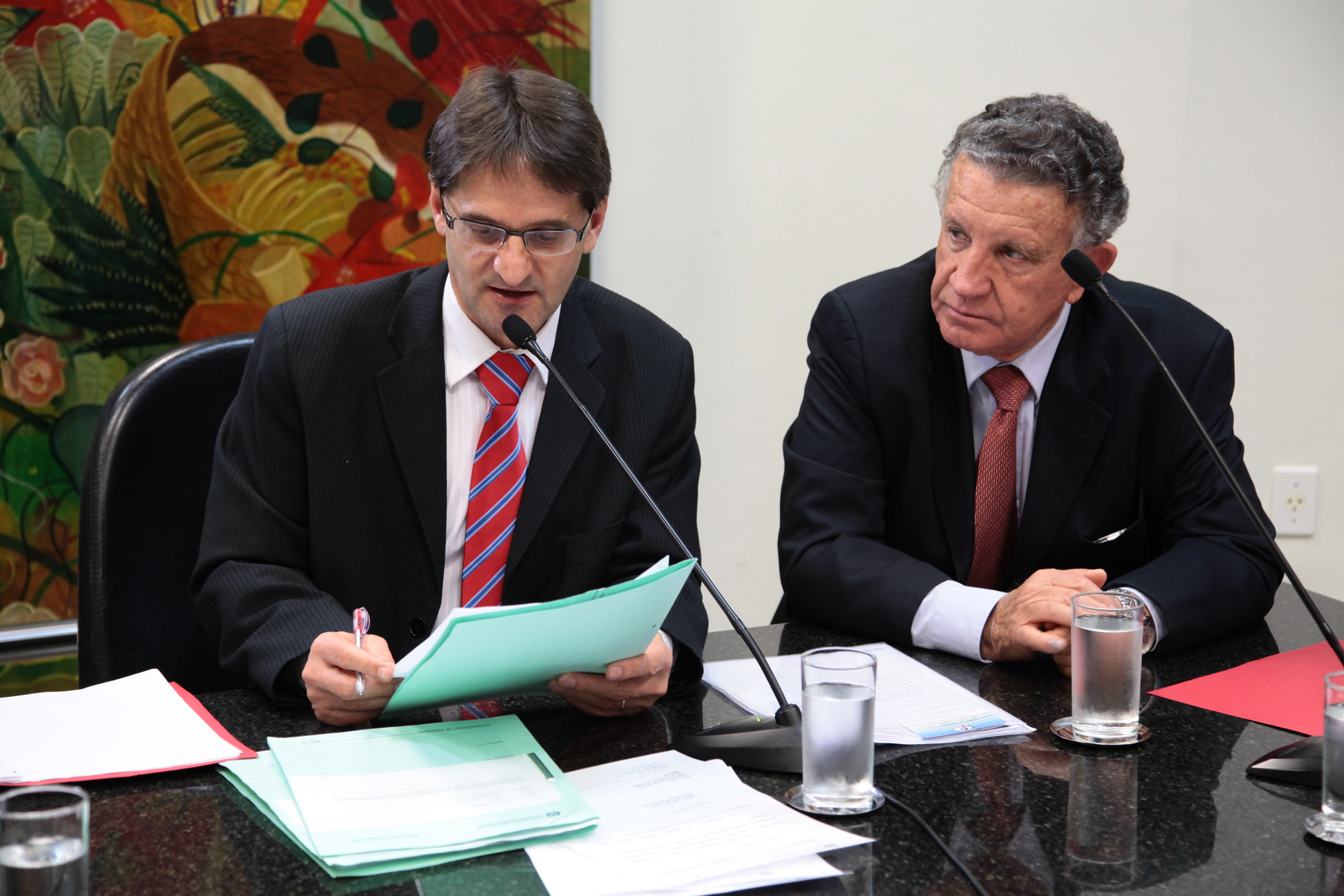 Reunião da Comissão de Turismo e Meio Ambiente. Foto: Miriam Zomer/Agência AL