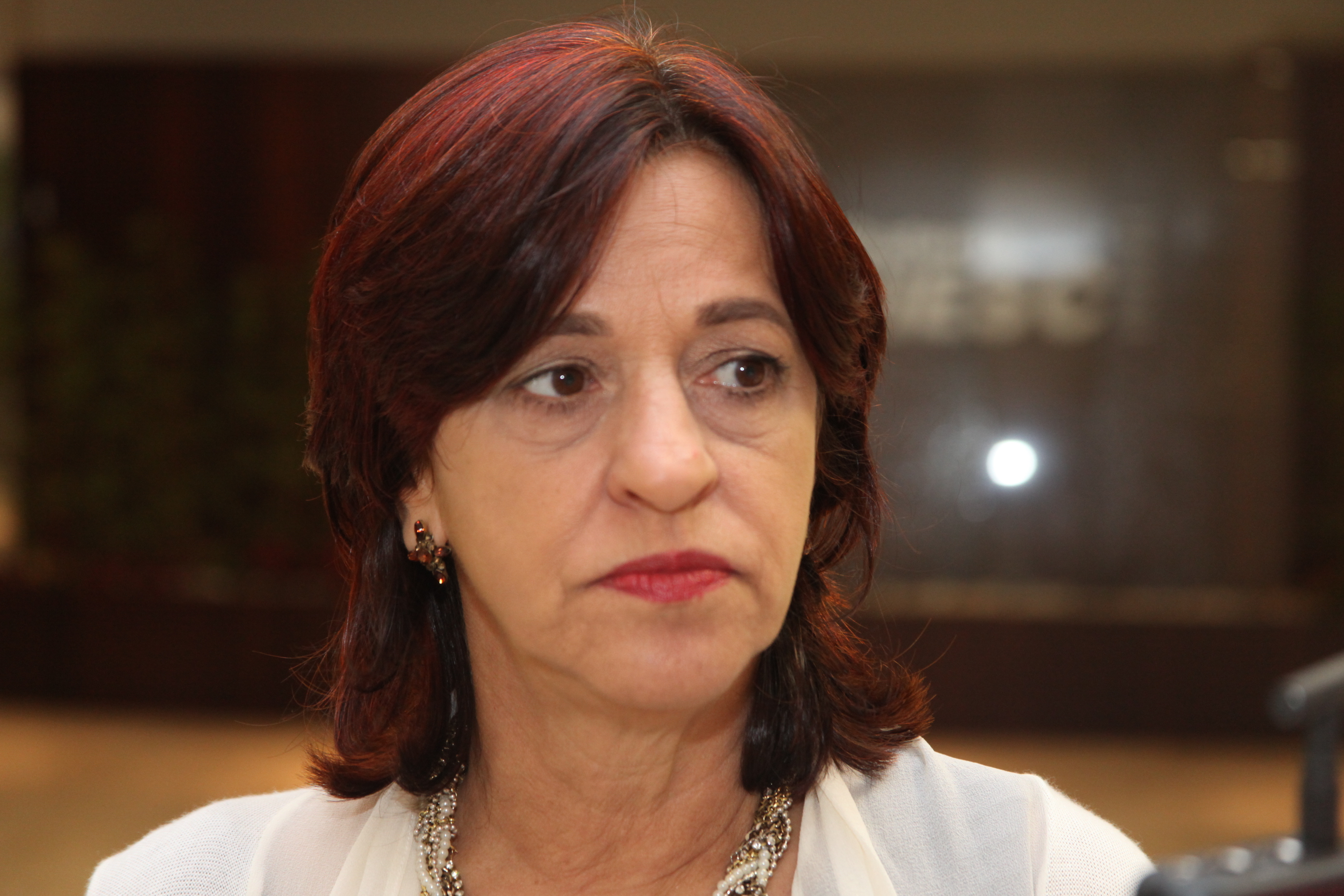 Ângela Maria Soares Silvares. Palestra Transparência Pública - Fiesc. Foto: Fábio Queiroz