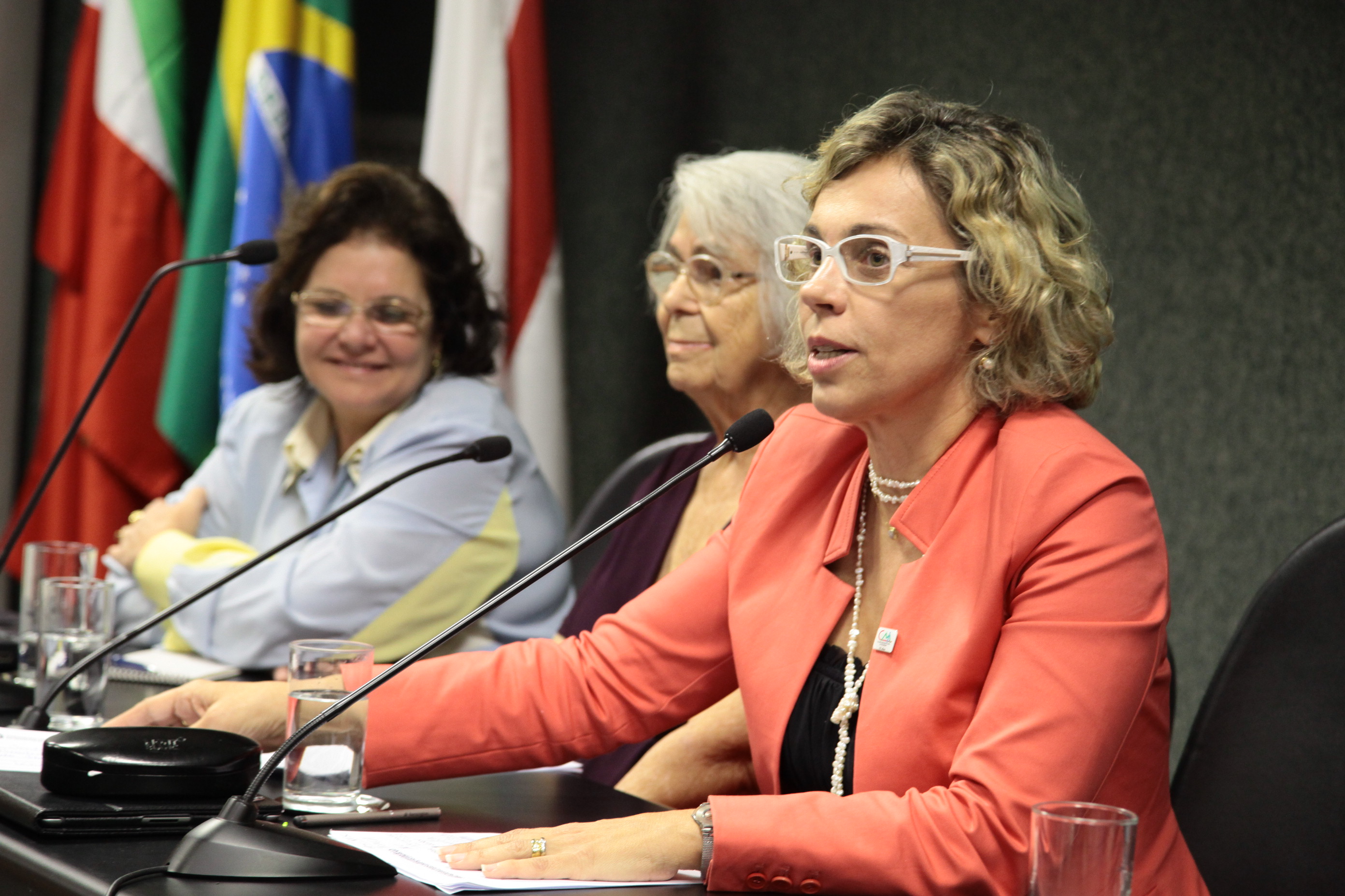 Cerimônia em homenagem dos 15 anos do Conselho Municipal do Idoso de Florianópolis. Foto: Miriam Zomer/Agência AL