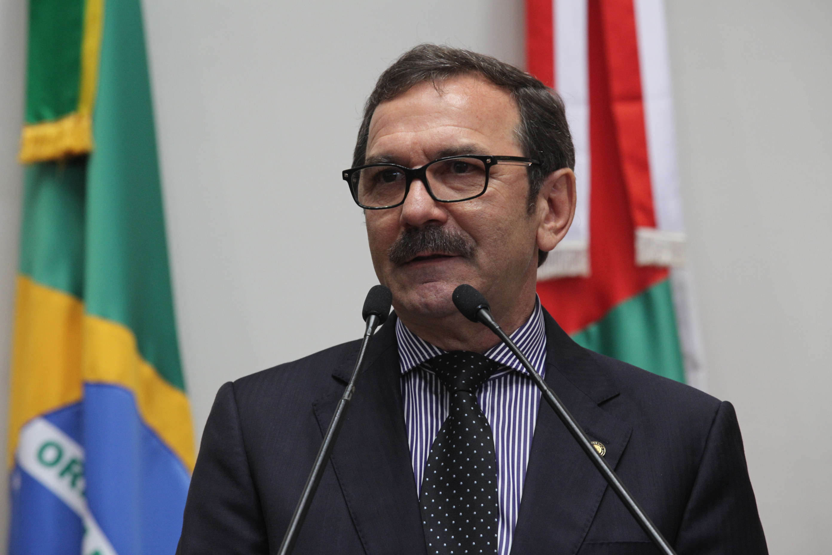 Sessão Plenária - Deputado Serafin Venzon (PSDB)