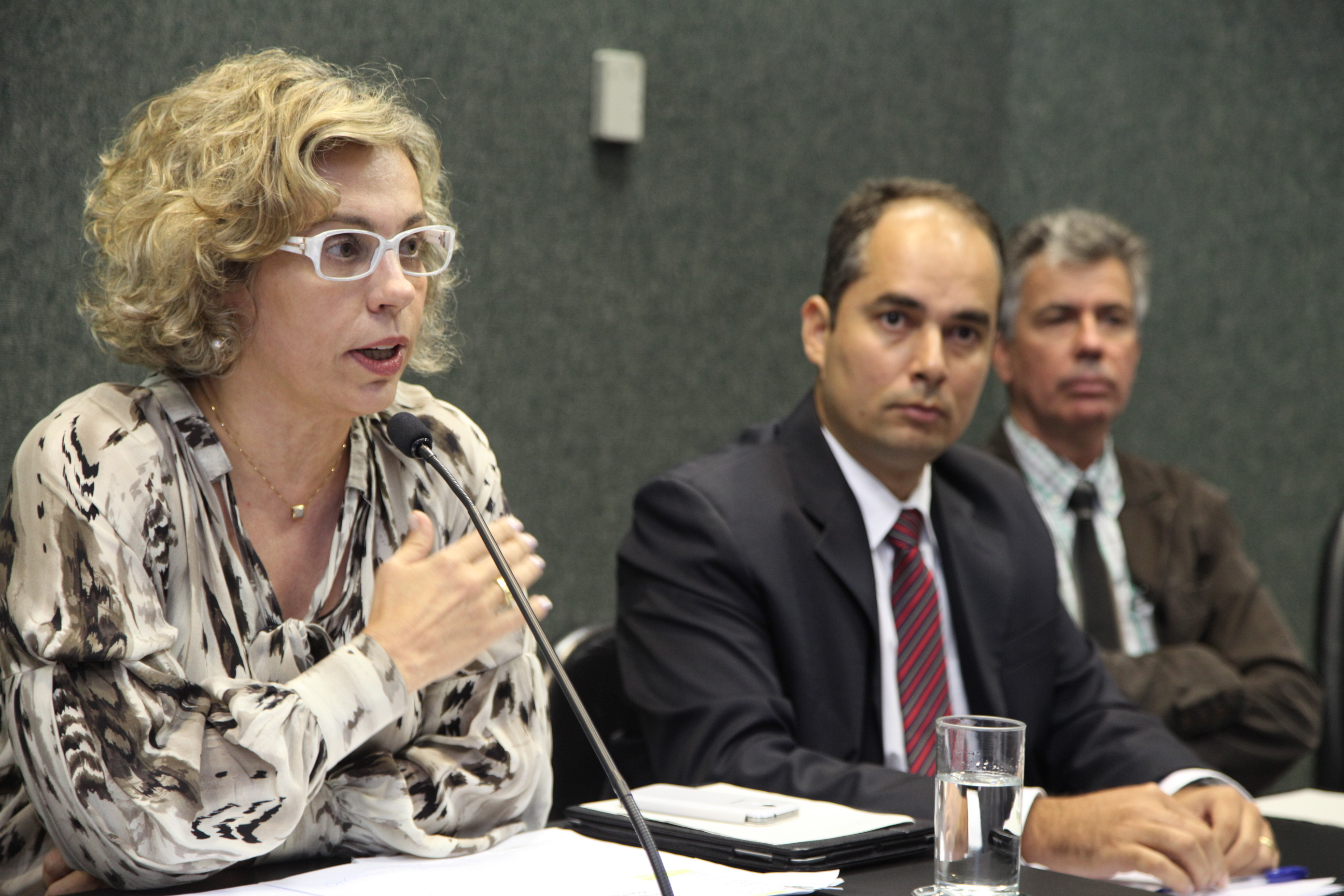 Audiência Pública - Criação do cargo de Fiscal Agropecuário