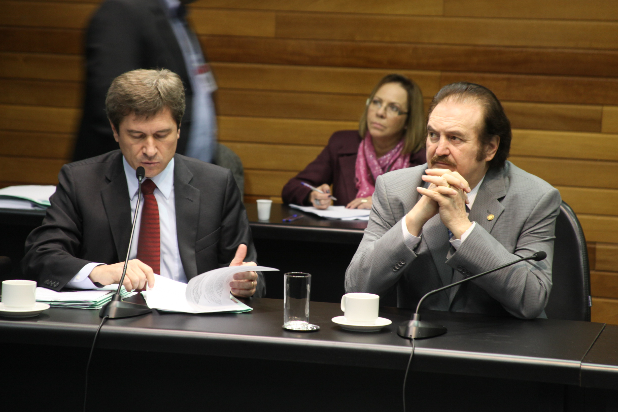 Comissão de Constituição e Justiça. Foto: Jessica Genevro/ Agência AL