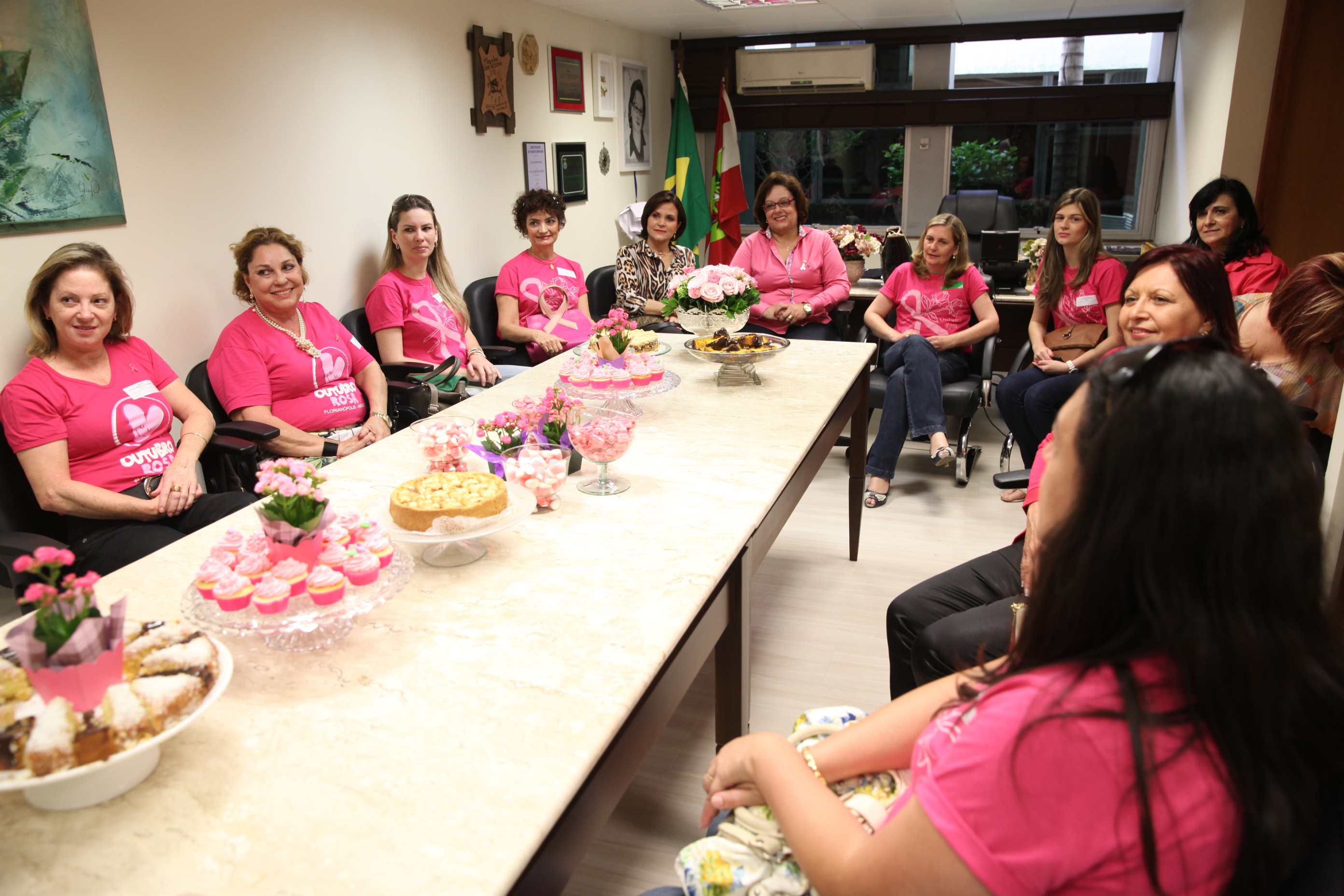Fechamento Outubro Rosa - Foto: Lucas Gabriel Diniz / Agência AL