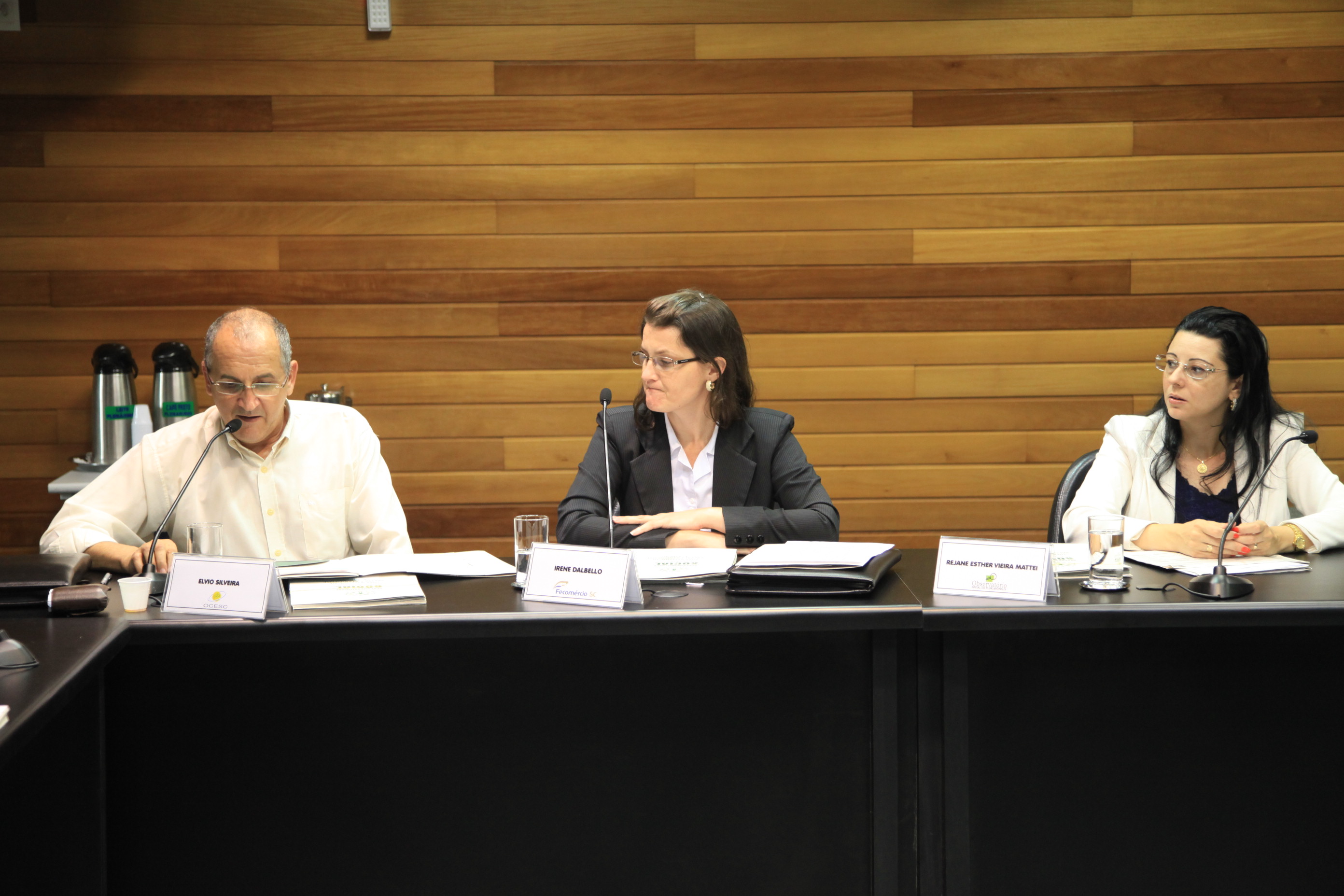 Reunião da Comissão Mista de Responsabilidade Social. Foto: Miriam Zomer/ Agência AL