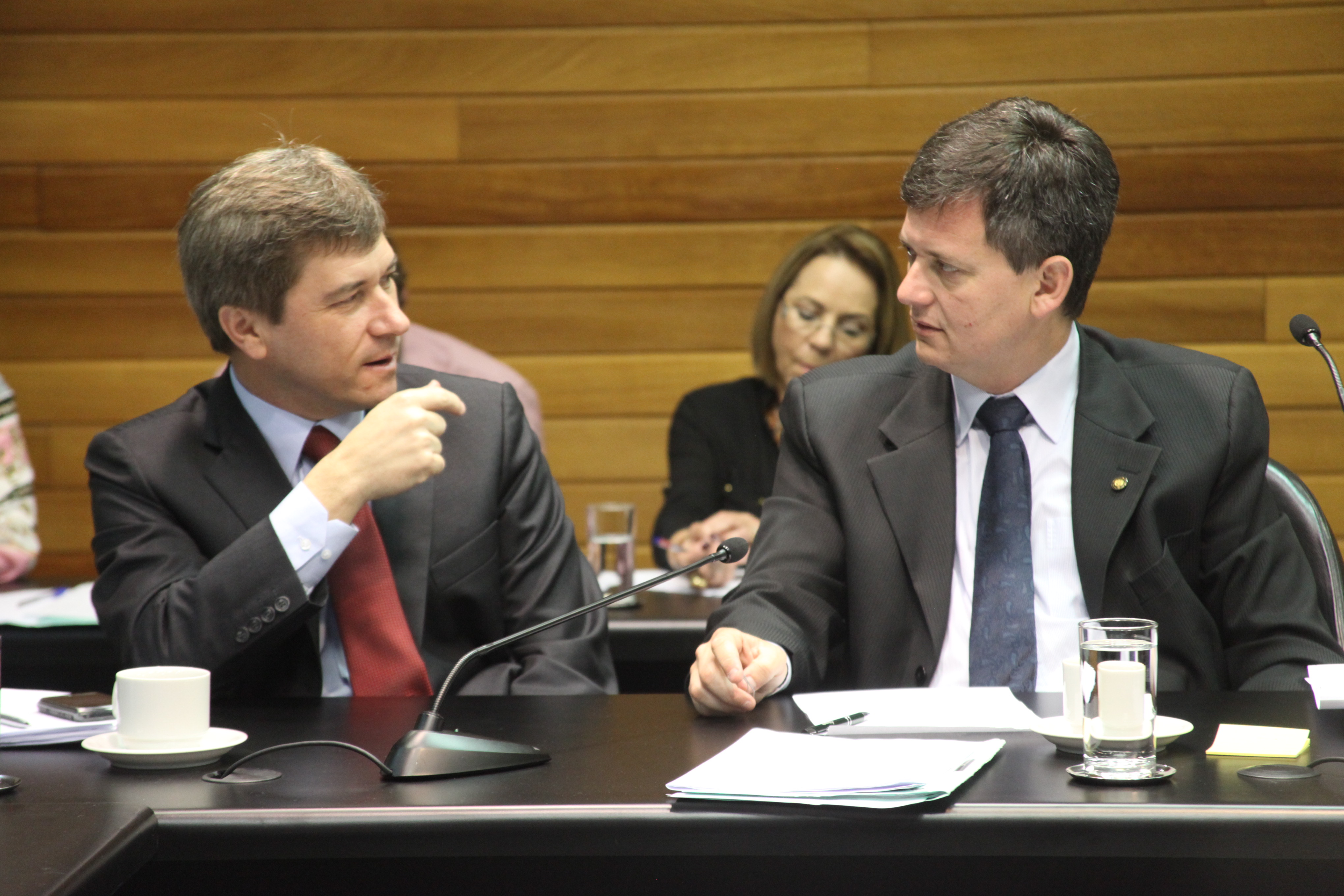 Comissão de Constituição e Justiça. Foto: Leonardo Gonçalves / Agência AL