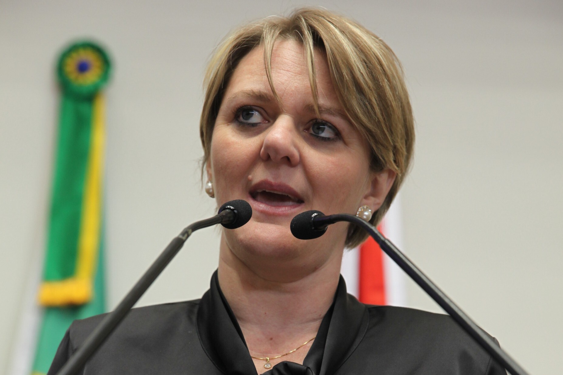 Luciane Carminatti comemora o acesso da Chapecoense à Série A