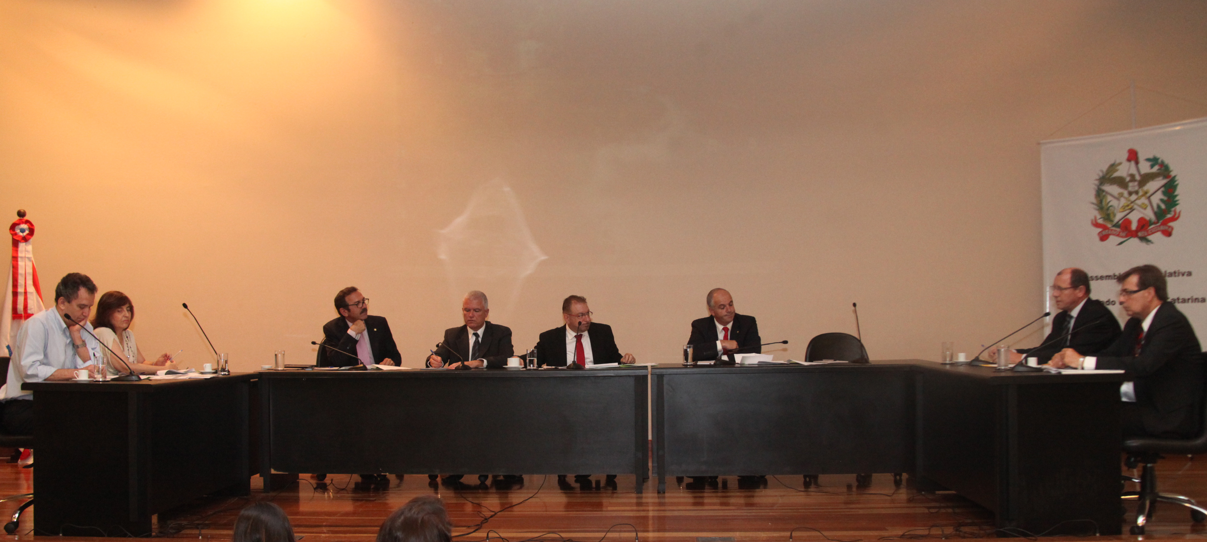 Audiência Pública sobre A Gestão do Fundo Estadual de Saúde. Foto: Leonardo Gonçalves / Agência AL