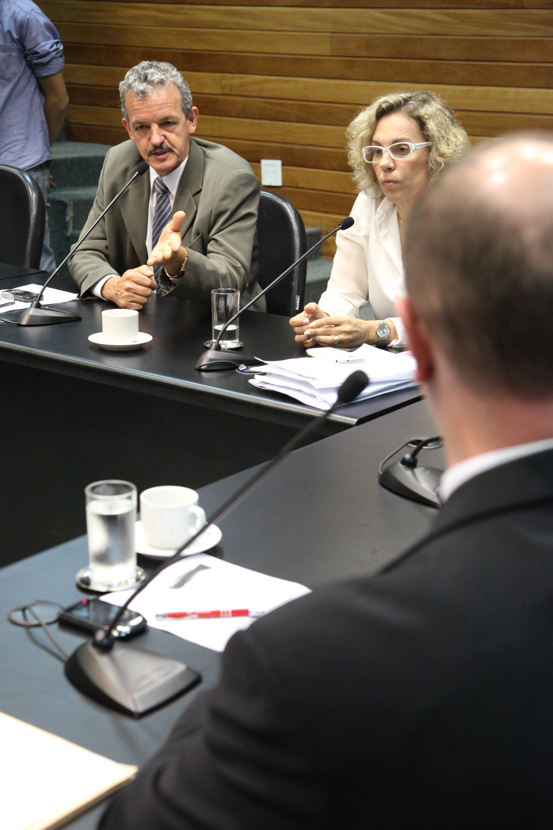 Reunião Extraordinária da Comissão de Constituição e Justiça - Lucas Gabriel Diniz / Agência AL