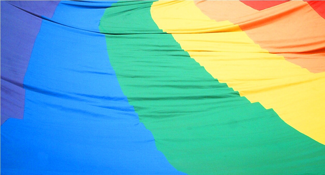 Comissão de Direitos Humanos aprova PL que cria o Conselho Estadual LGBT