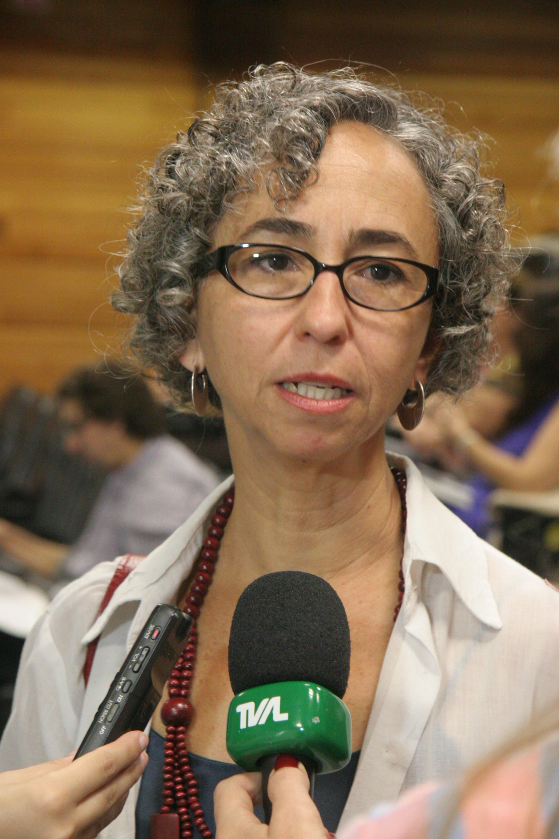 1º Seminário Patrimônio Cultural: Memória e Educação. Professora Dra. Márcia Chuva - UNIRIO. Eduardo Guedes de Oliveira / Agência AL