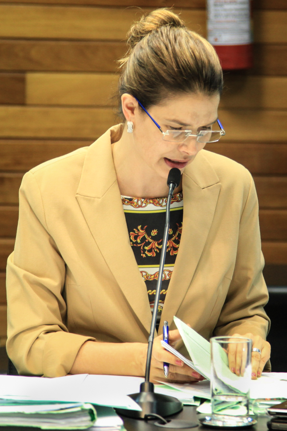 Dep. Angela Albino. Comissão de Trabalho, Administrativo e Serviço Público. Foto: Jessica Genevro /Agência AL