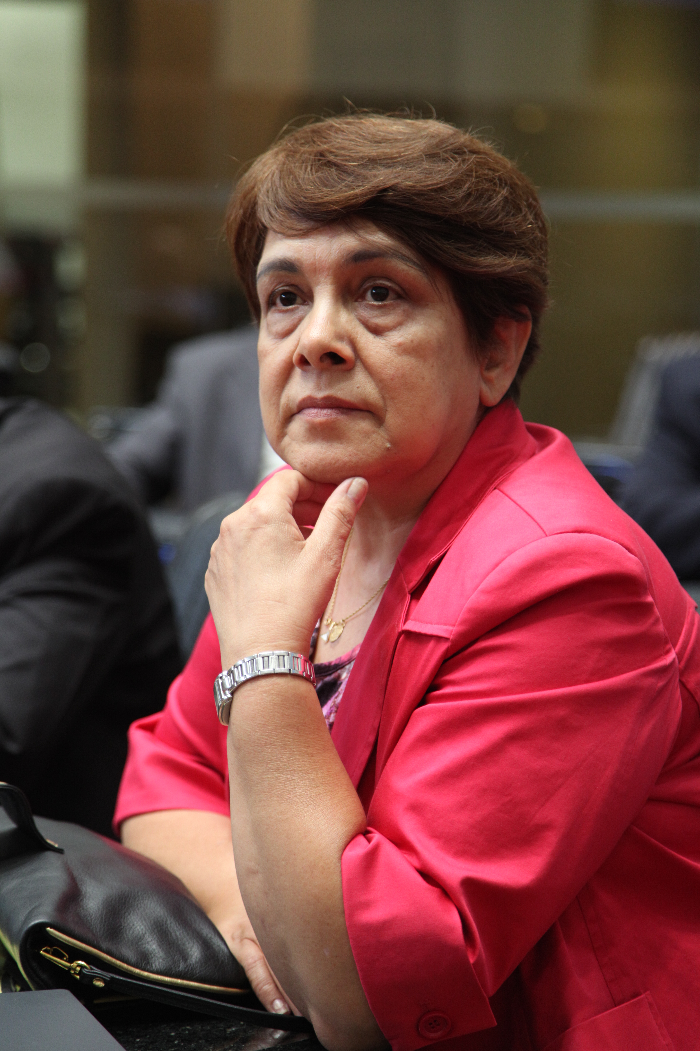 Reunião da UPM - Deputada Blanca Acosta (Argentina)