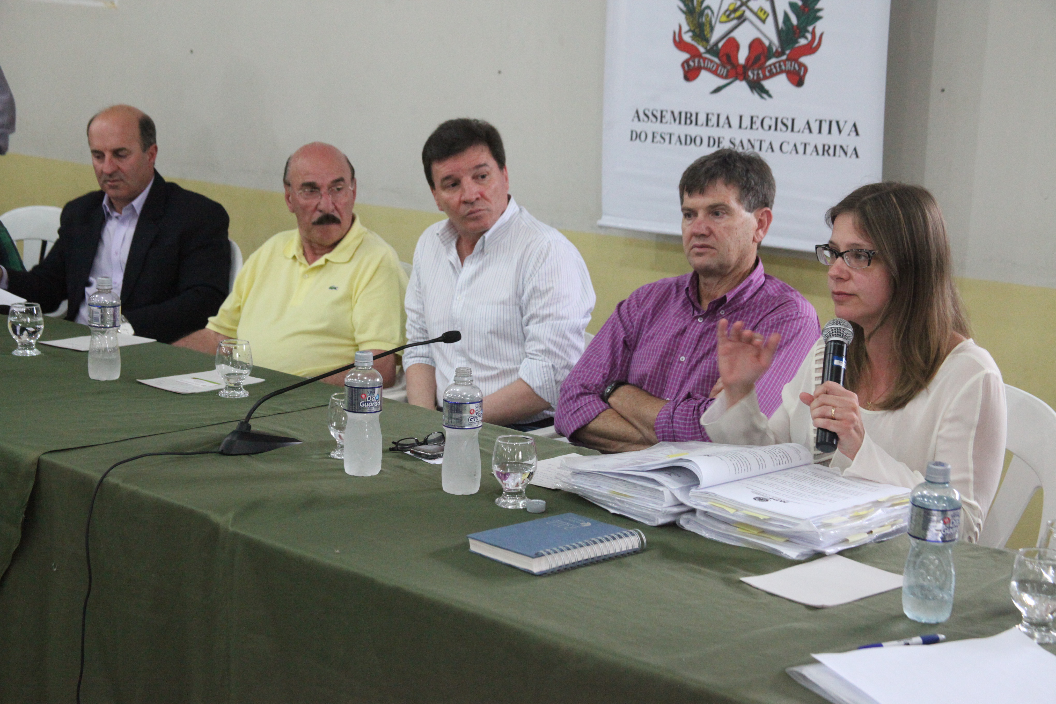 Audiência Pública em Turvo. Foto: Fábio Queiroz / Agência AL