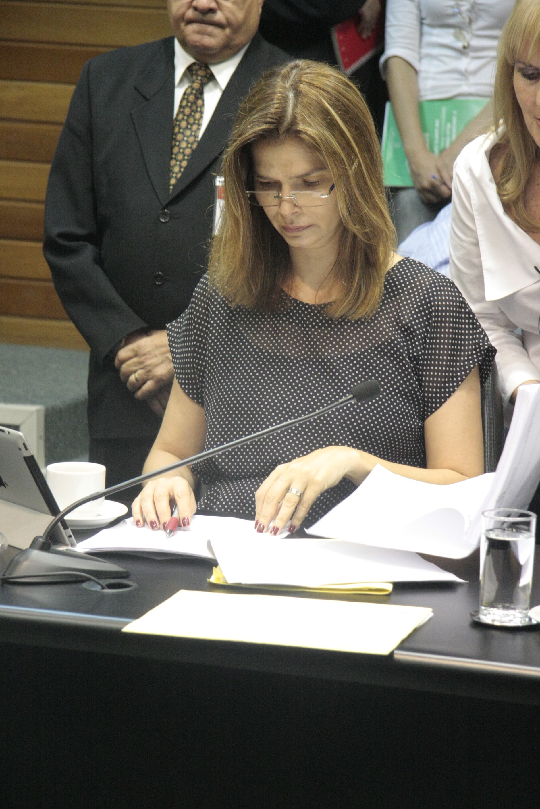 Reunião da Comissão de Finanças e Tributação. Foto: Fábio Queiroz / Agência AL