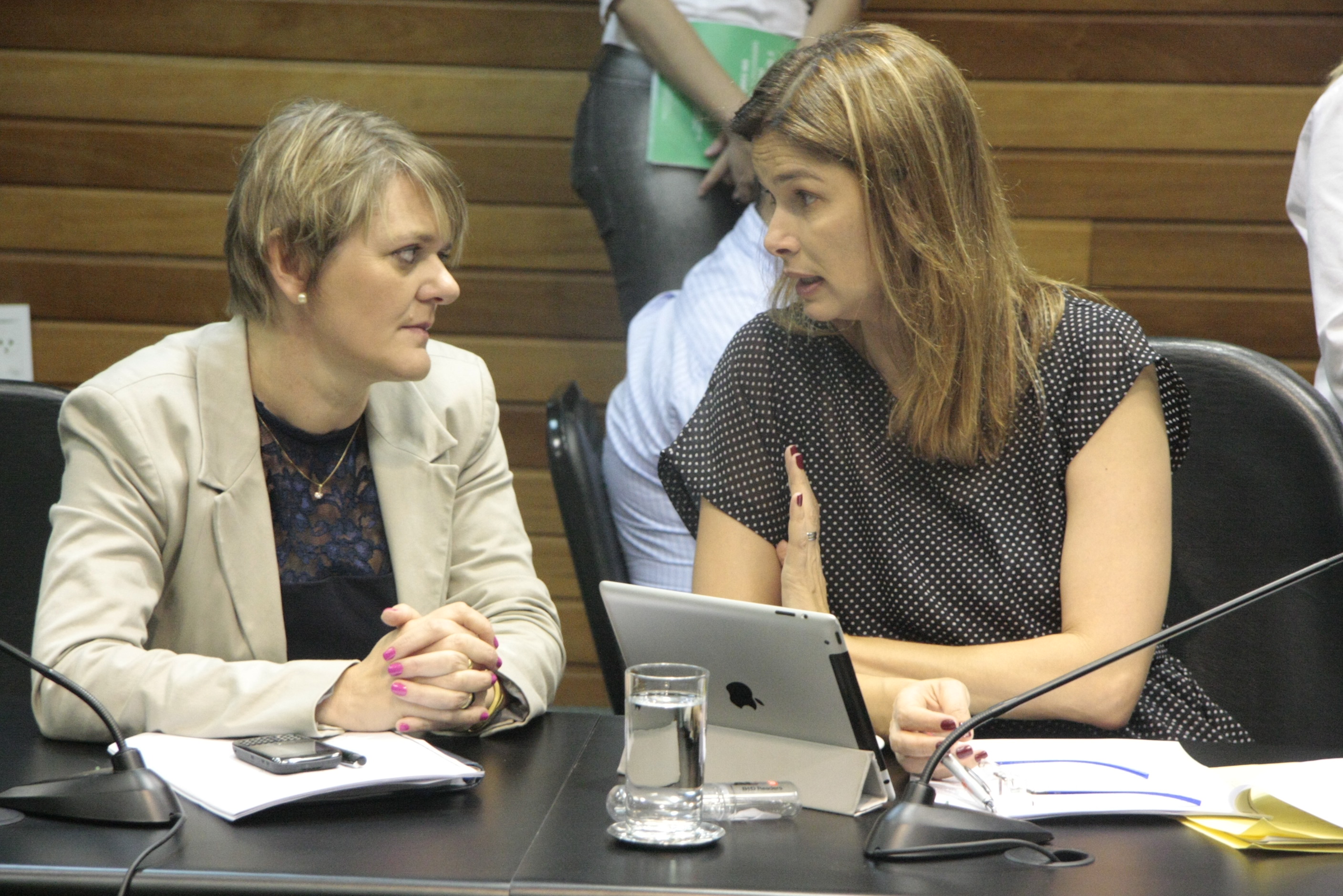 Reunião da Comissão de Finanças e Tributação. Foto: Fábio Queiroz / Agência AL