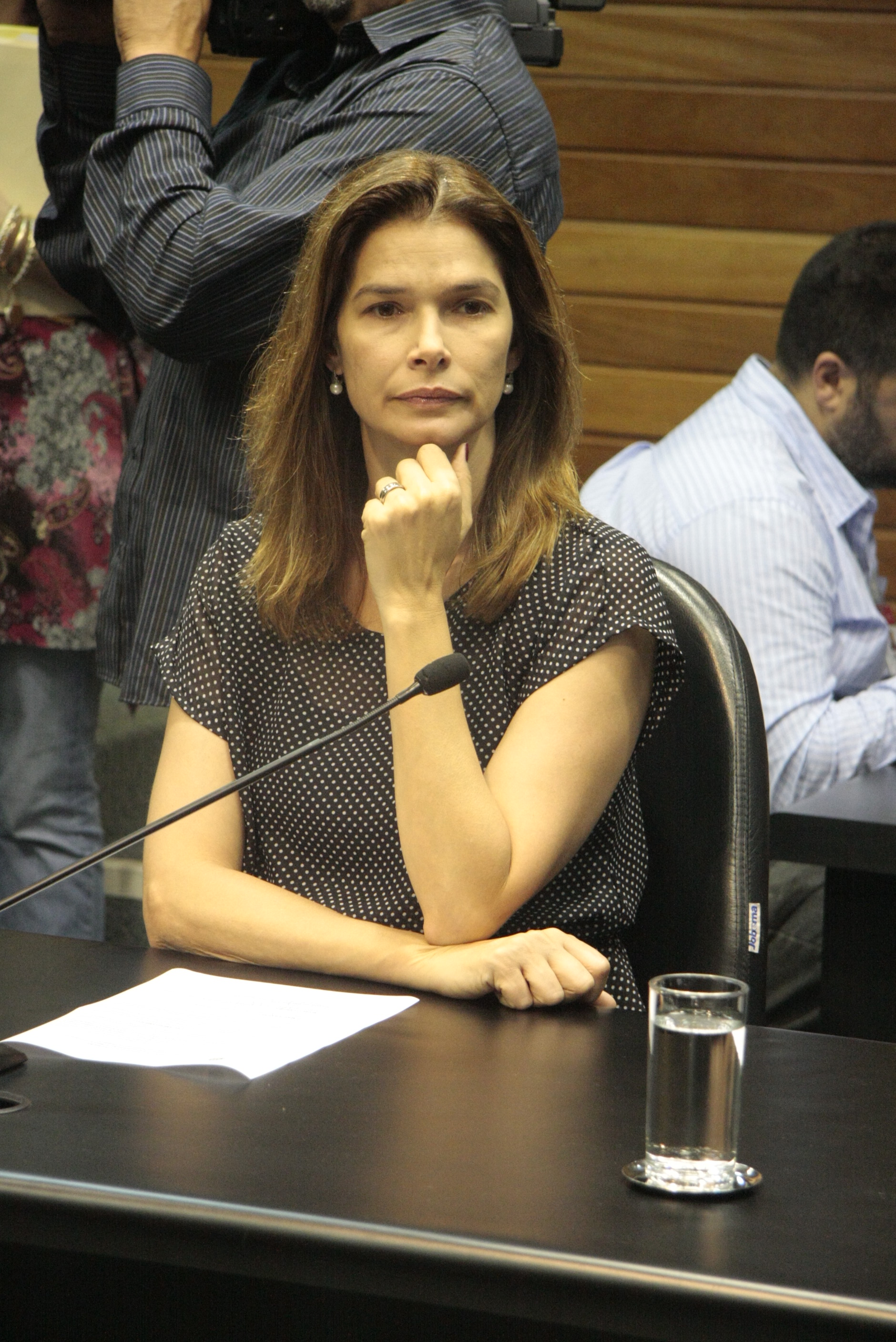 Reunião da Comissão de Finanças e Tributação. Foto: Fábio Queiroz / Agência AL