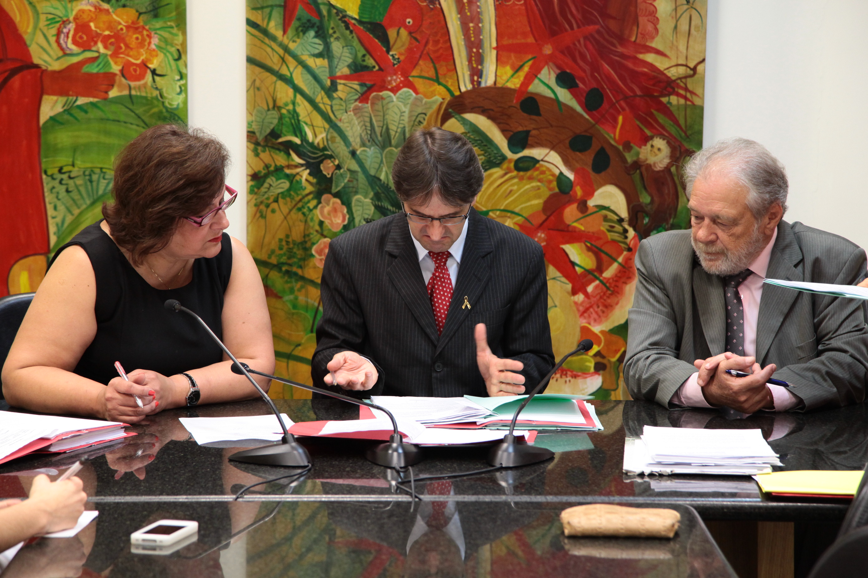 Reunião da Comissão de Turismo e Meio Ambiente. Foto: Miriam Zomer/Agência AL