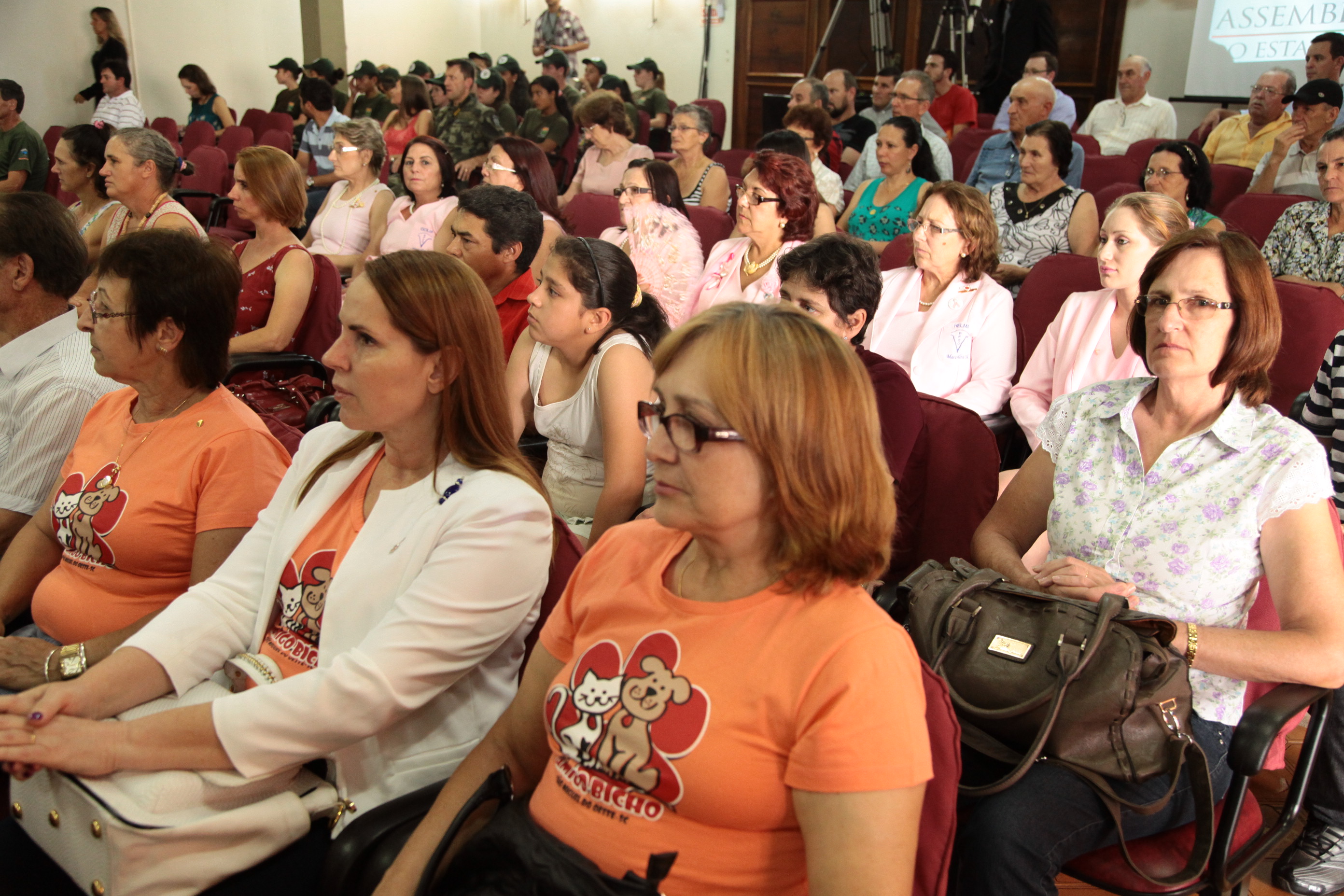 Sessão Solene pela Vida e pelo Meio Ambiente - São Miguel do Oeste/SC. Foto: Miriam Zomer/Agência AL