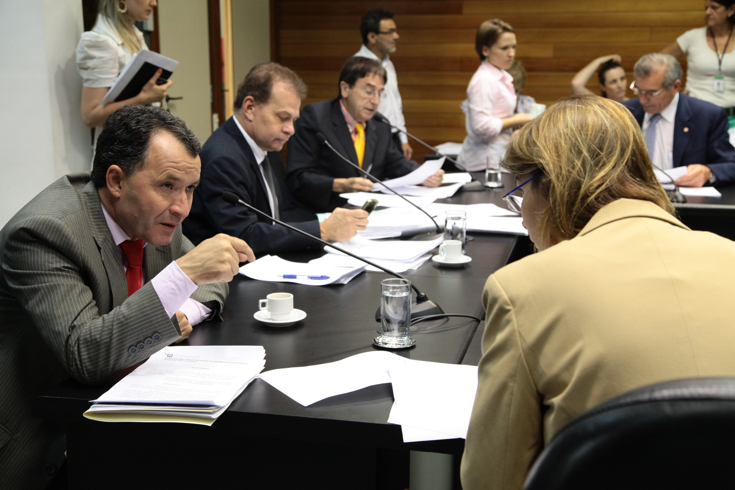 Reunião Extraordinária da Comissão de Finanças e Tributação - Foto: Juliana Stadnik/Agência AL
