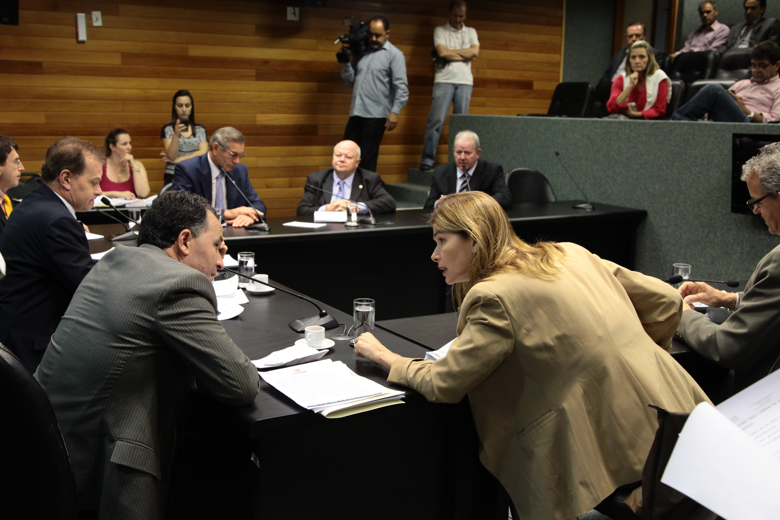 Reunião Extraordinária da Comissão de Finanças e Tributação - Foto: Juliana Stadnik/Agência AL
