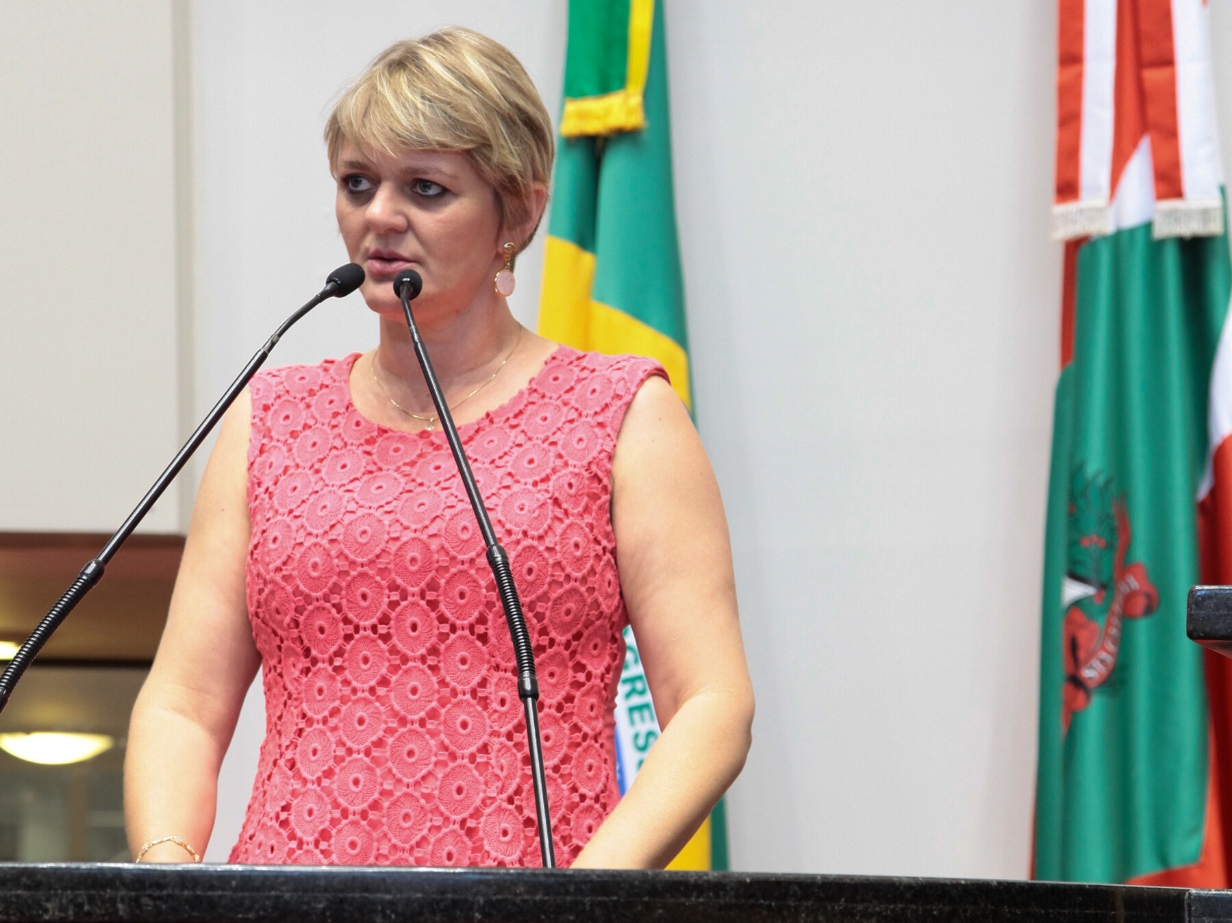 Luciane Carminatti repercute casos de violência contra a mulher no estado