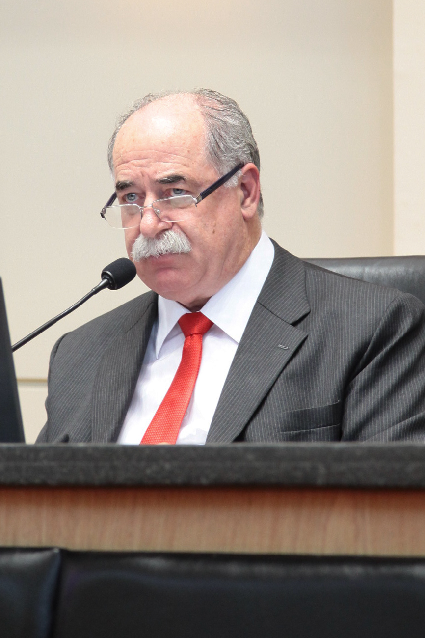 Sessão Ordinária - Dep. Romildo Titon (PMDB) - Foto: Juliana Stadnik / Agência AL
