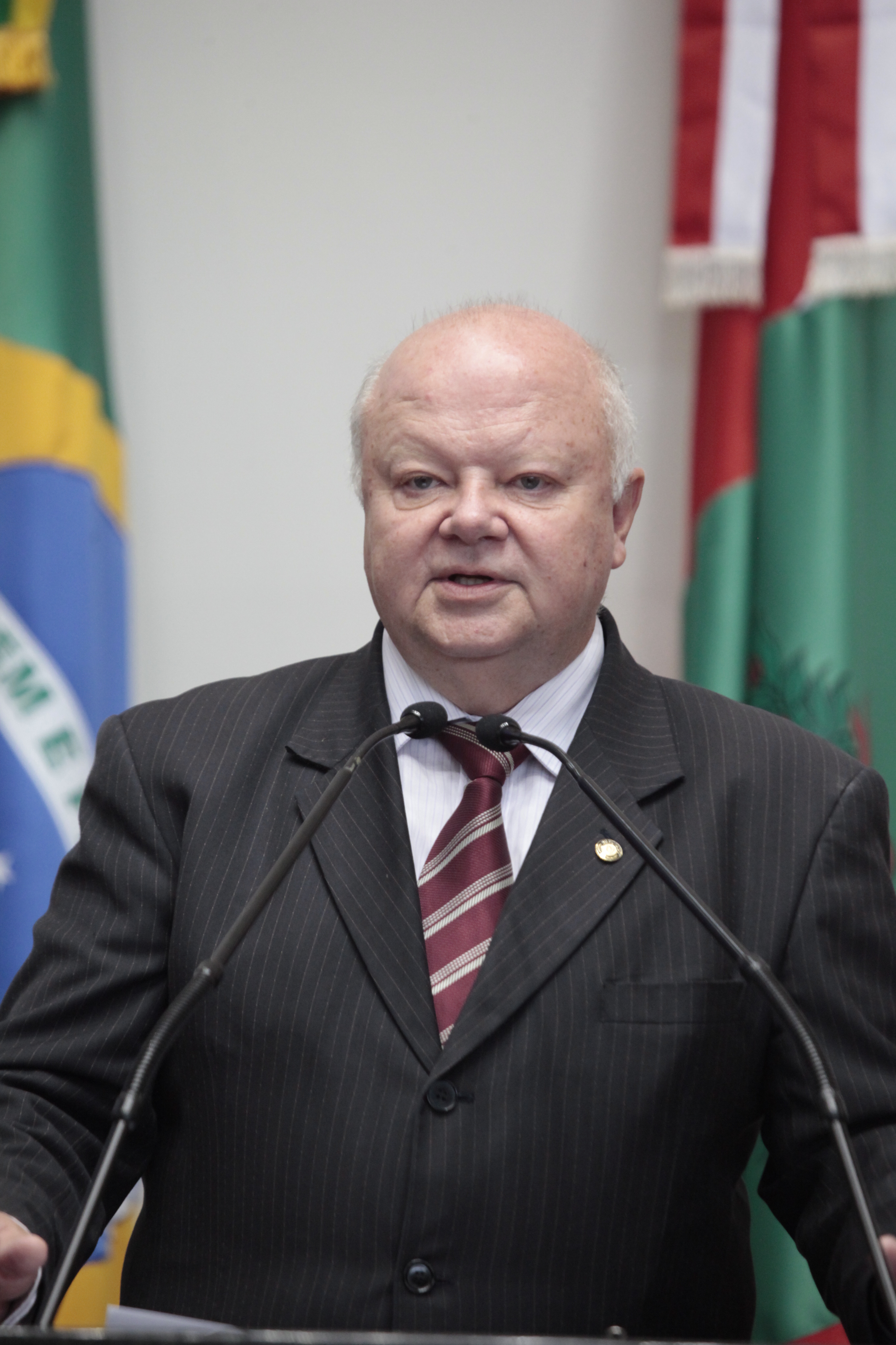 Sessão Ordinária - Plenário Osni Régis. Deputado Renato Hinning (PMDB) Fotos: Carlos Kilian/Agência AL