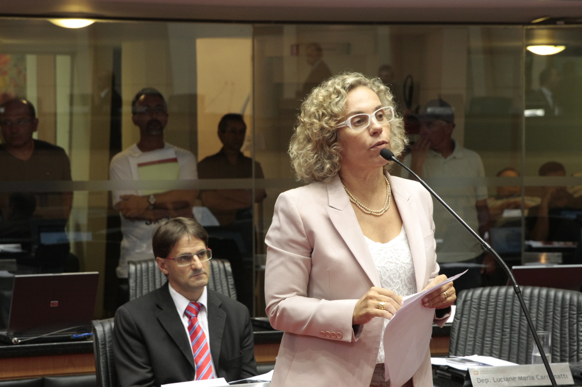 Sessão Plenária - Foto: Eduardo Guedes de Oliveira / Agência AL