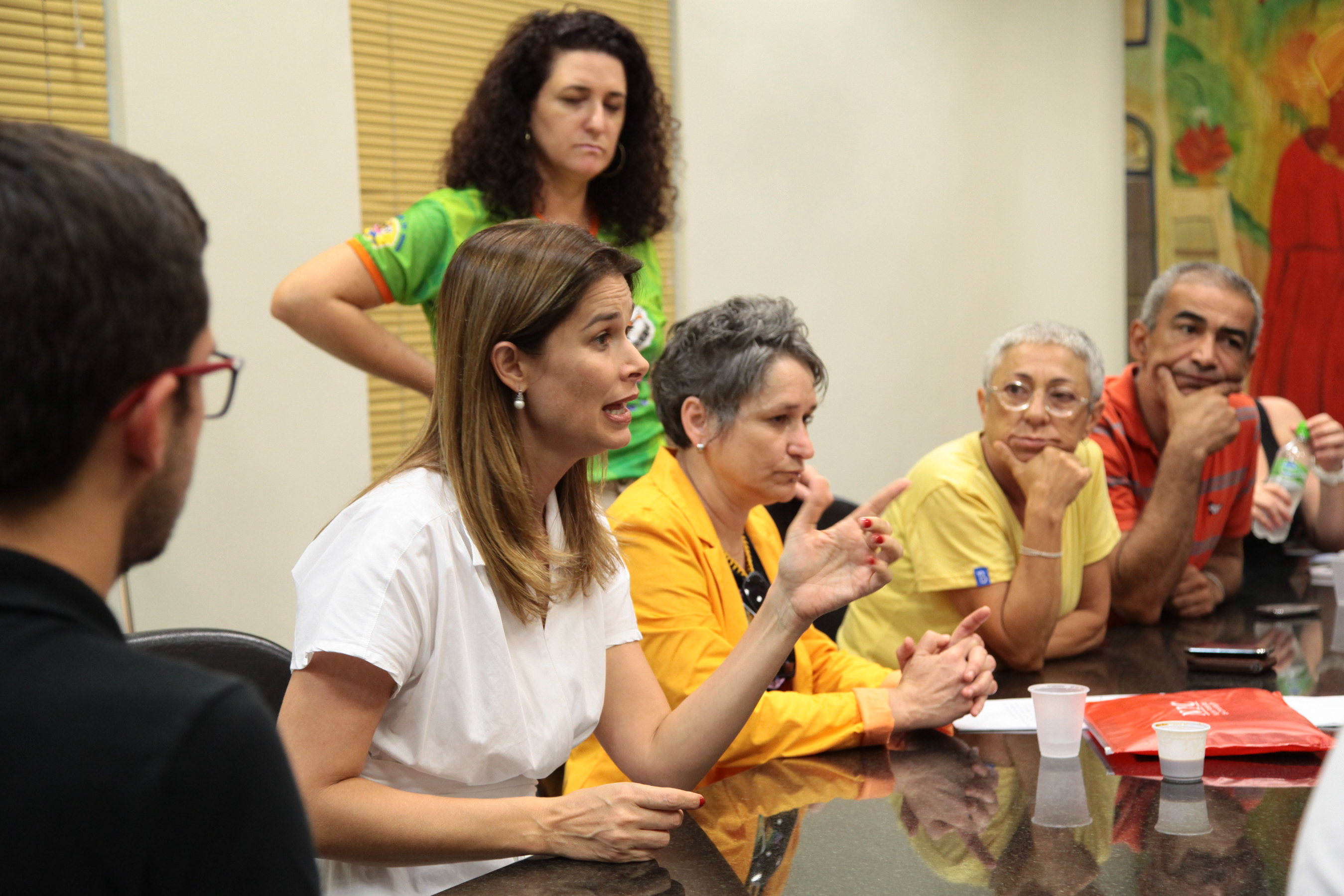 Reunião da Comissão Pró Criação do Conselho Estadual de Direitos LGBT - Foto: Juliana Stadnik / Agência AL